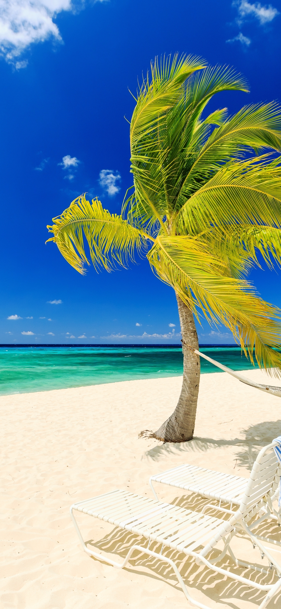 Descarga gratuita de fondo de pantalla para móvil de Mar, Playa, Horizonte, Océano, Tropical, Fotografía, Palmera, Tropico.