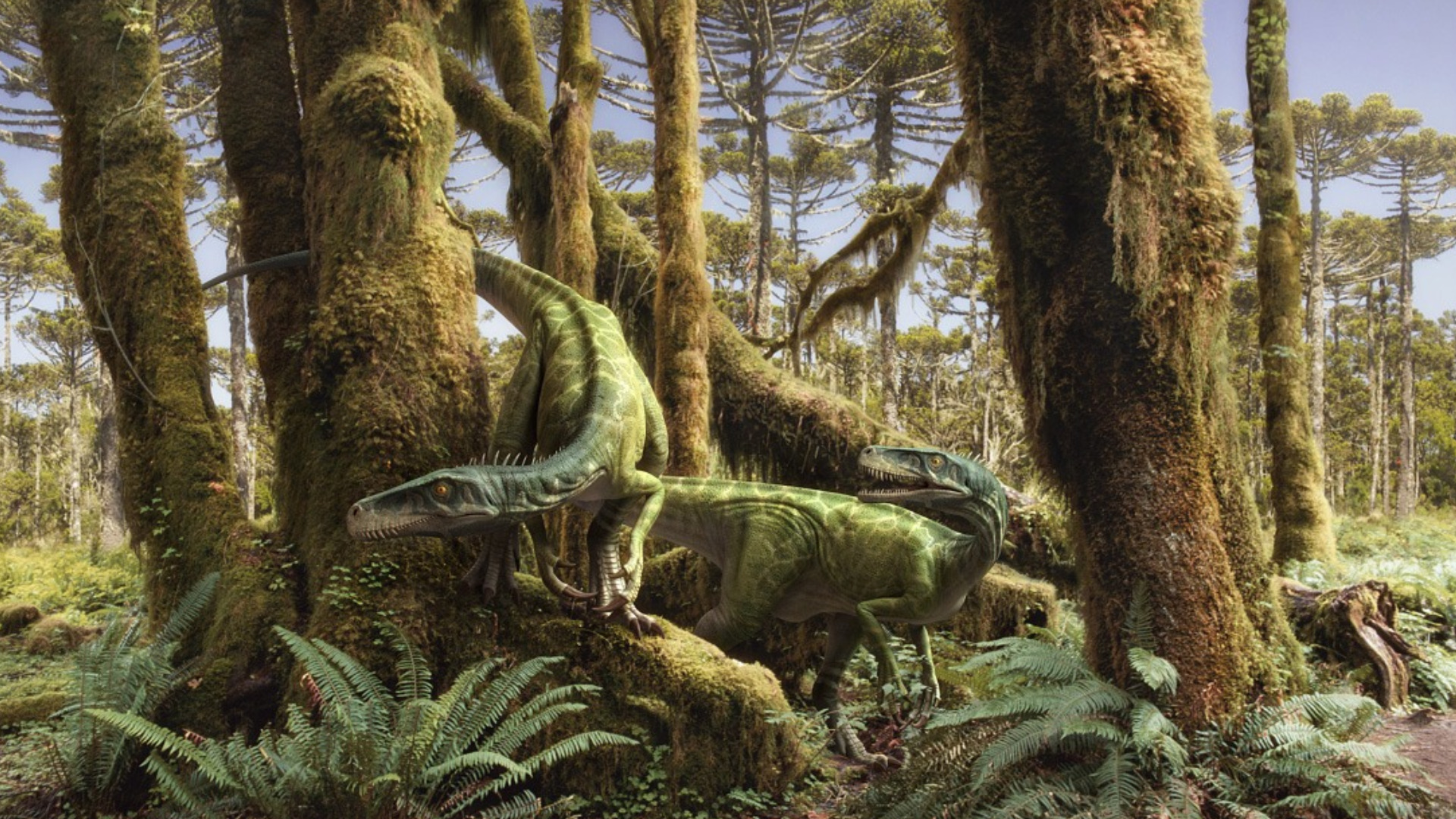 272598 descargar imagen dinosaurios, animales, dinosaurio: fondos de pantalla y protectores de pantalla gratis