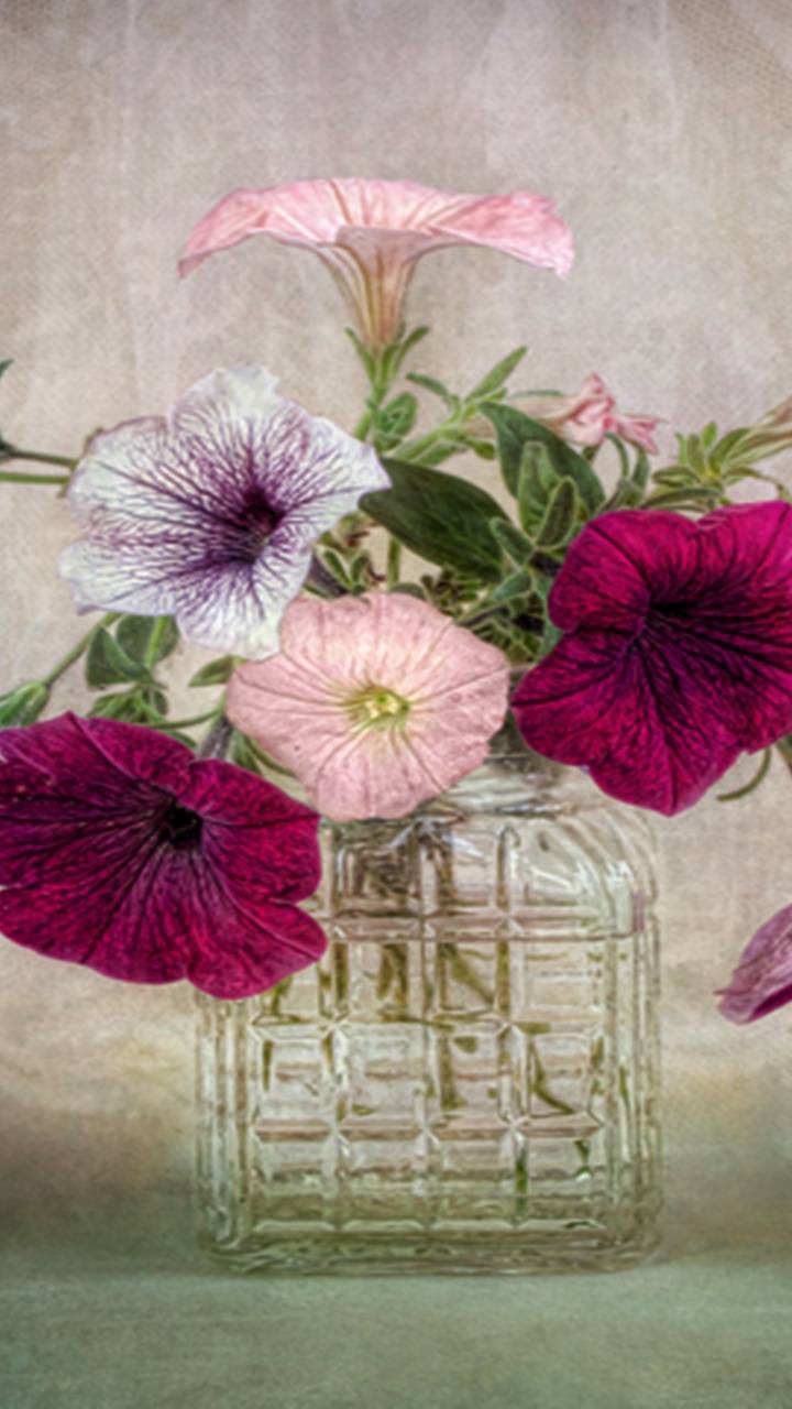 Download mobile wallpaper Flower, Glass, Vase, Man Made for free.