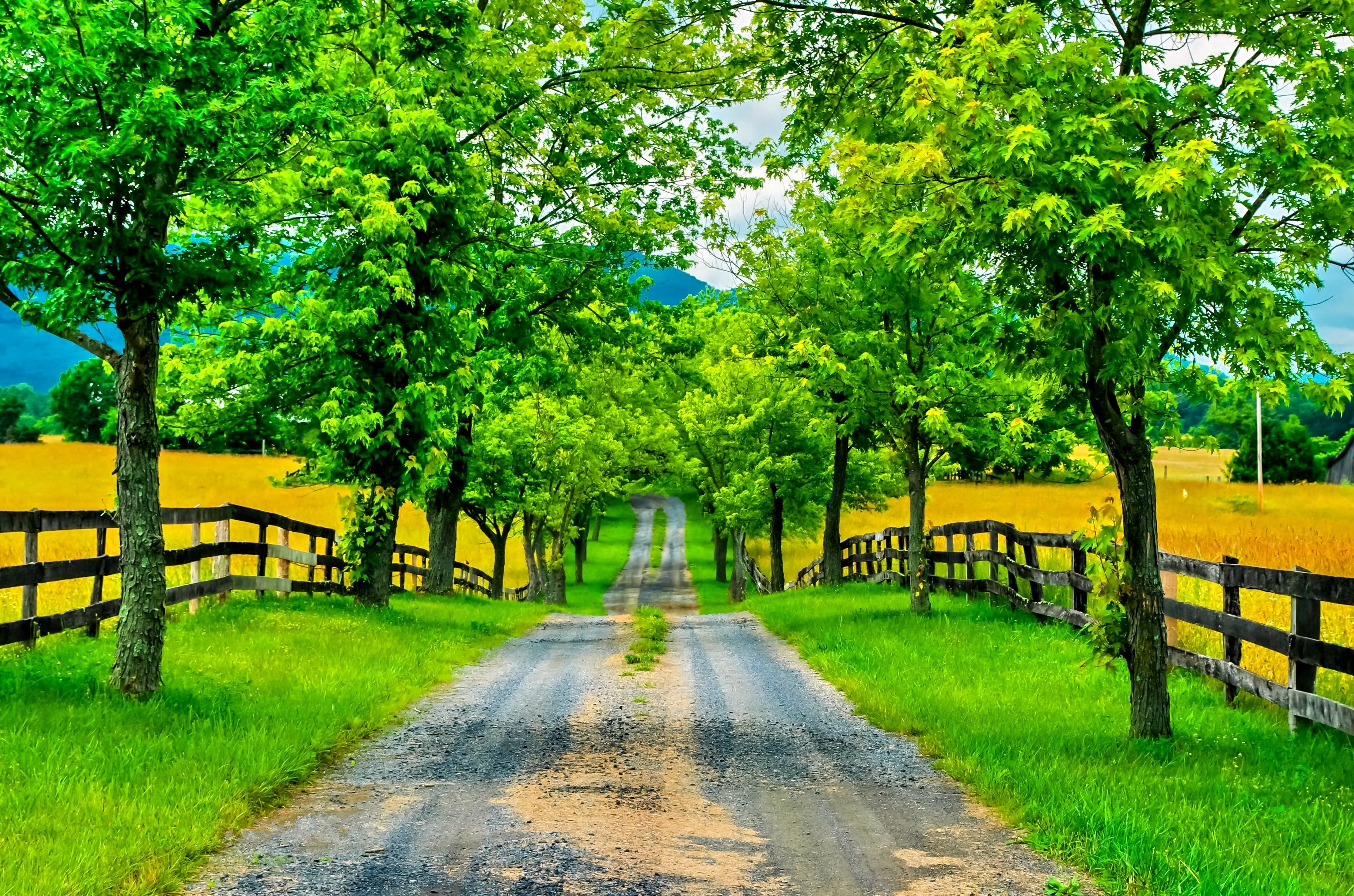 Free download wallpaper Road, Tree, Path, Fence, Spring, Man Made, Tree Lined on your PC desktop