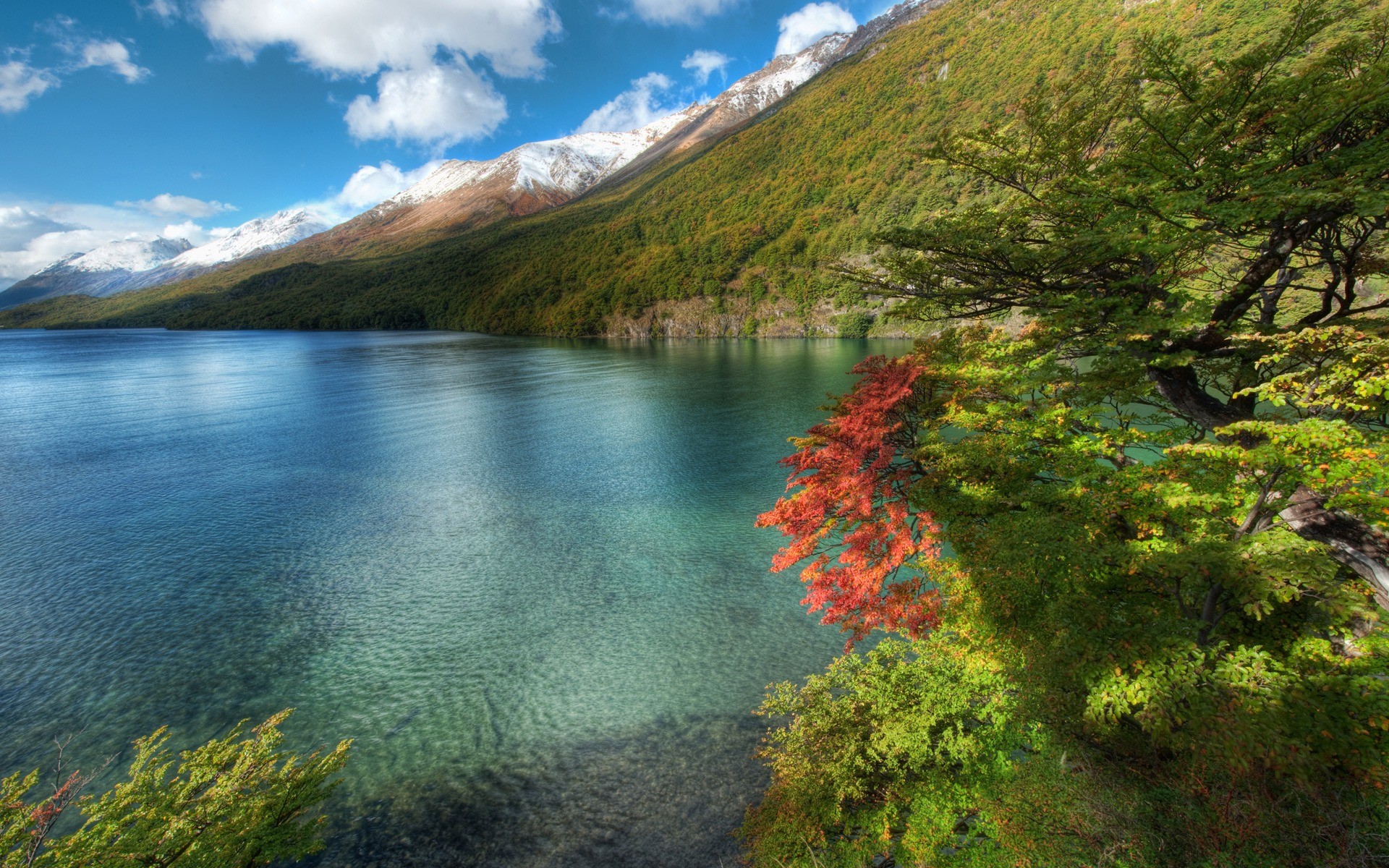 Free download wallpaper Lake, Tree, Earth, Coastline on your PC desktop