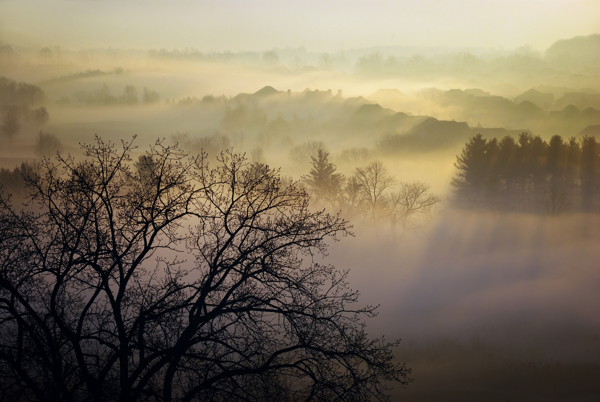 Download mobile wallpaper Landscape, Fog, Earth for free.