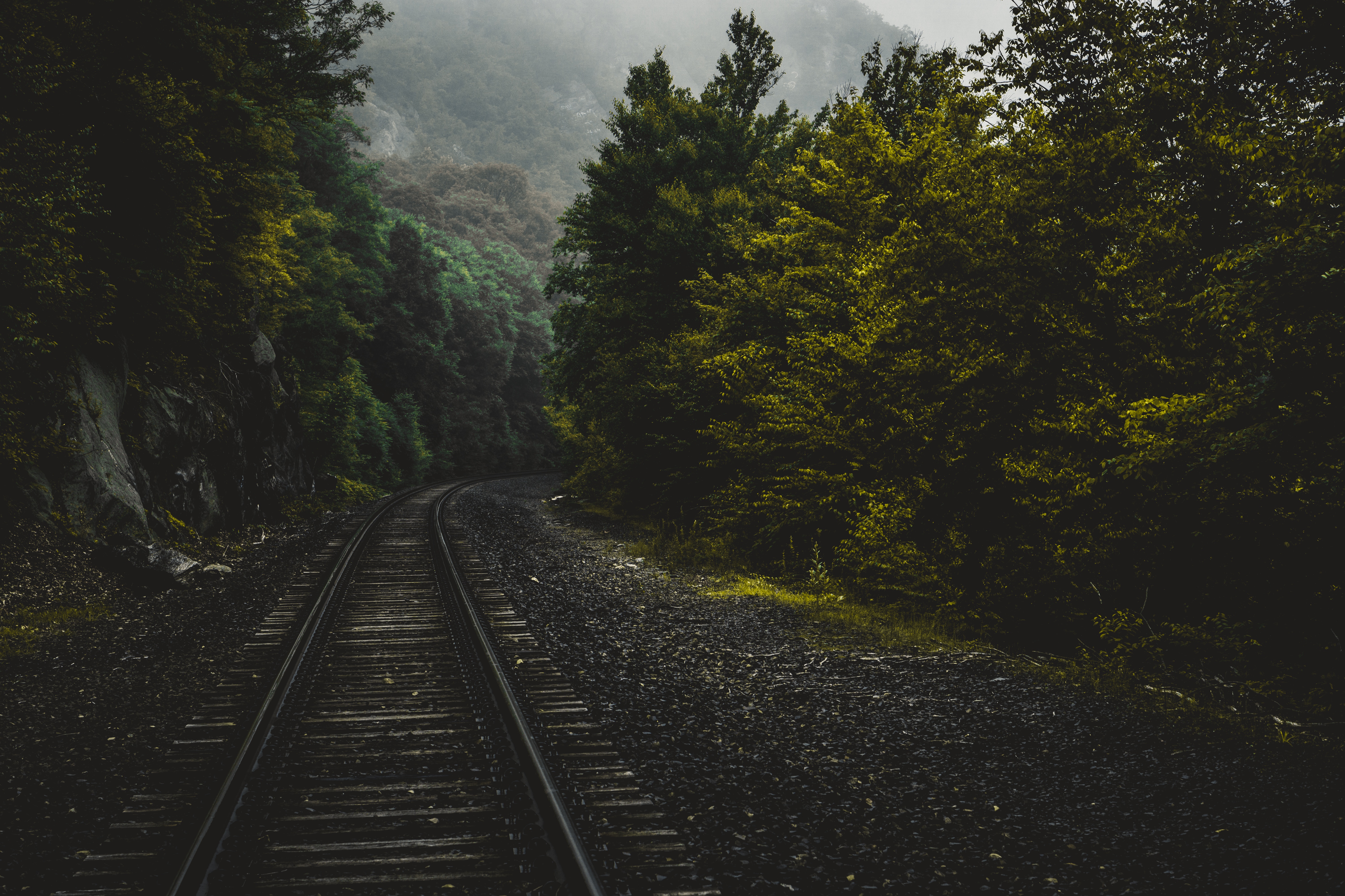 trees, united states, railway, forest, nature, usa, connecticut Full HD
