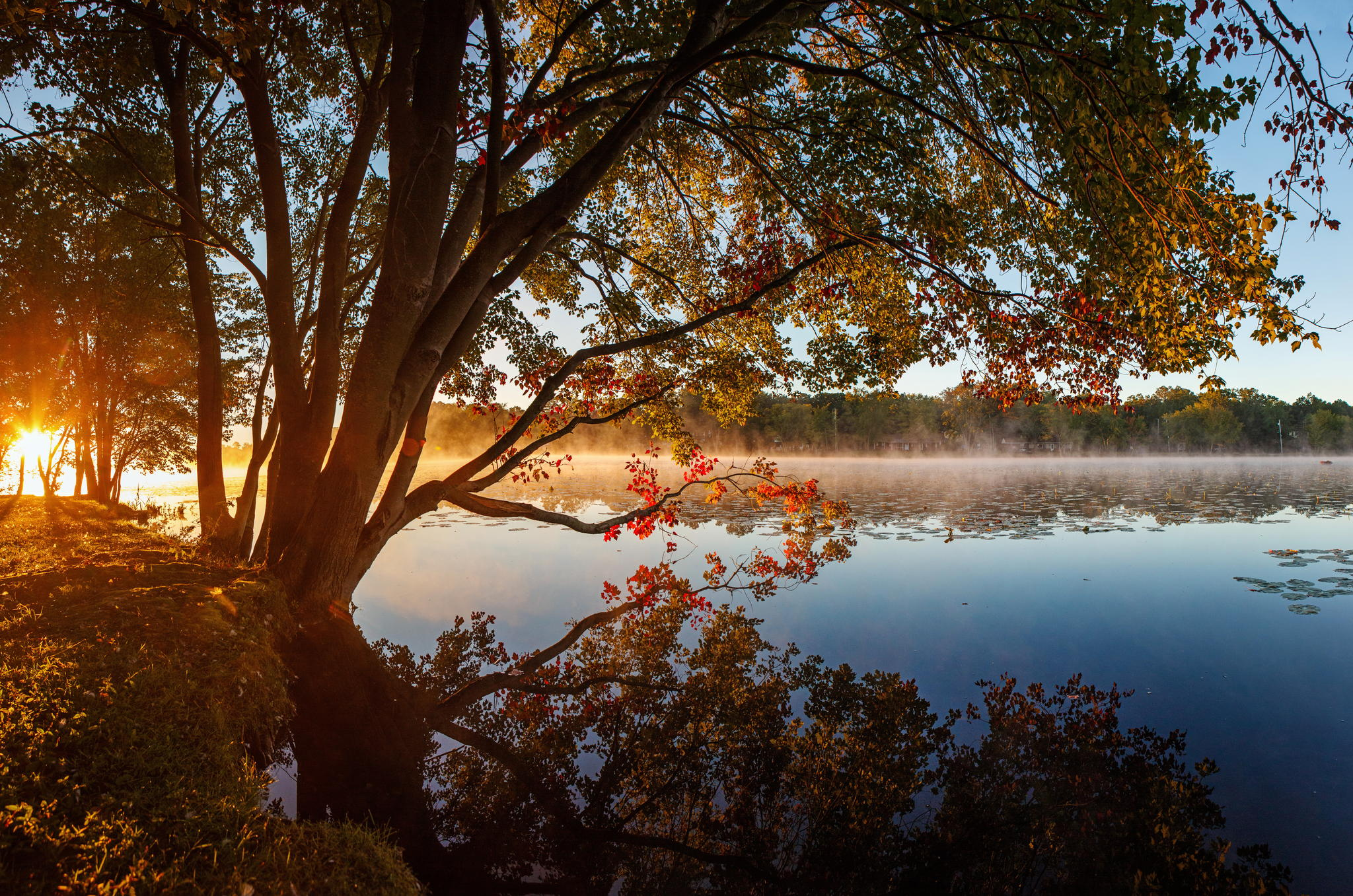 Free download wallpaper Lakes, Lake, Reflection, Tree, Earth on your PC desktop