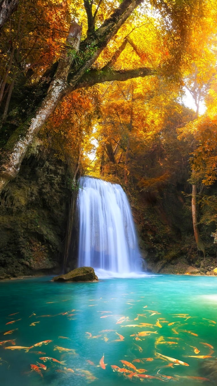 waterfall, erawan waterfall, earth, nature, pond, fish, tree, fall, forest, thailand, tropical, waterfalls