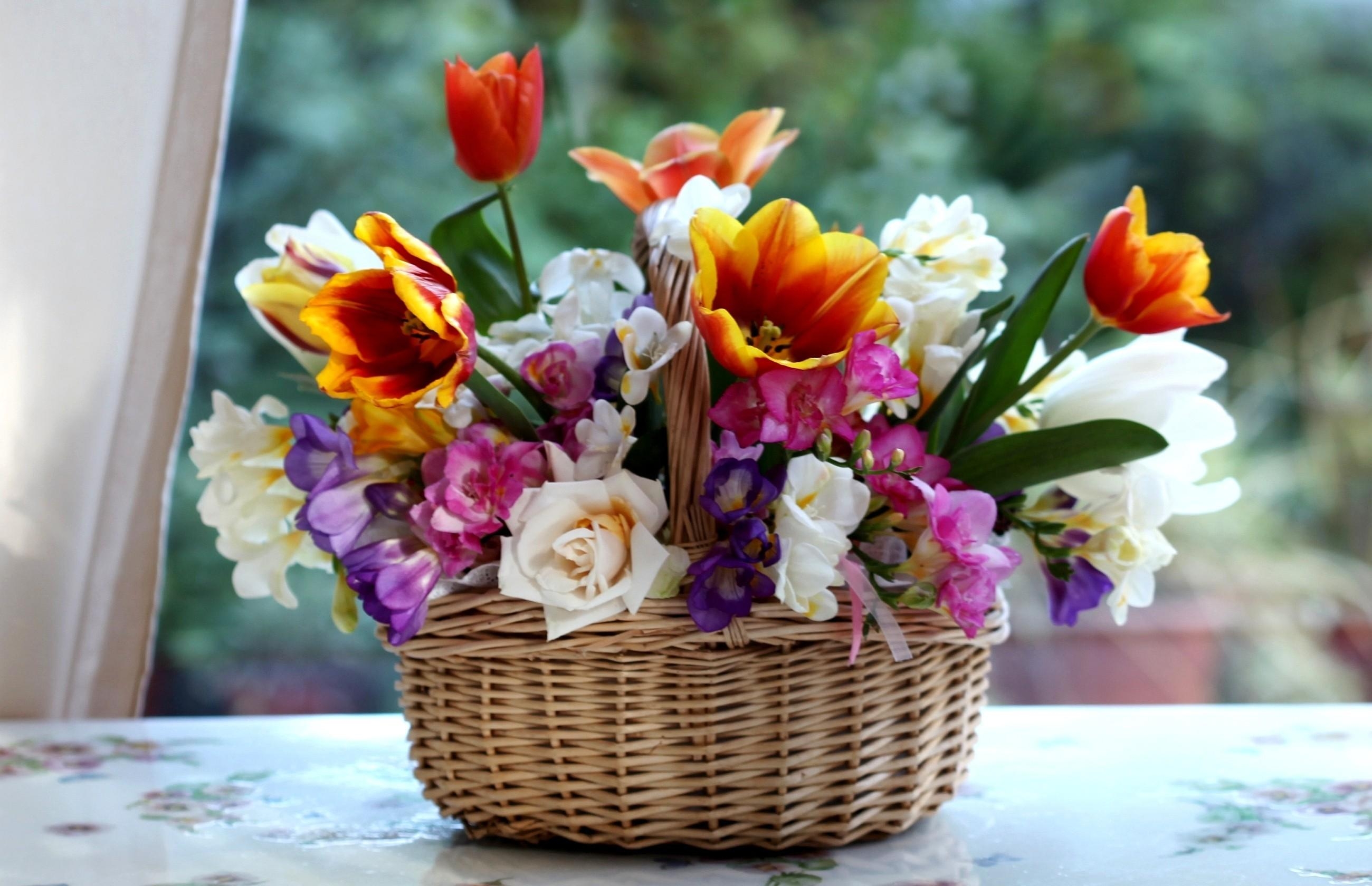 flowers, roses, tulips, basket, composition, combination, freesia