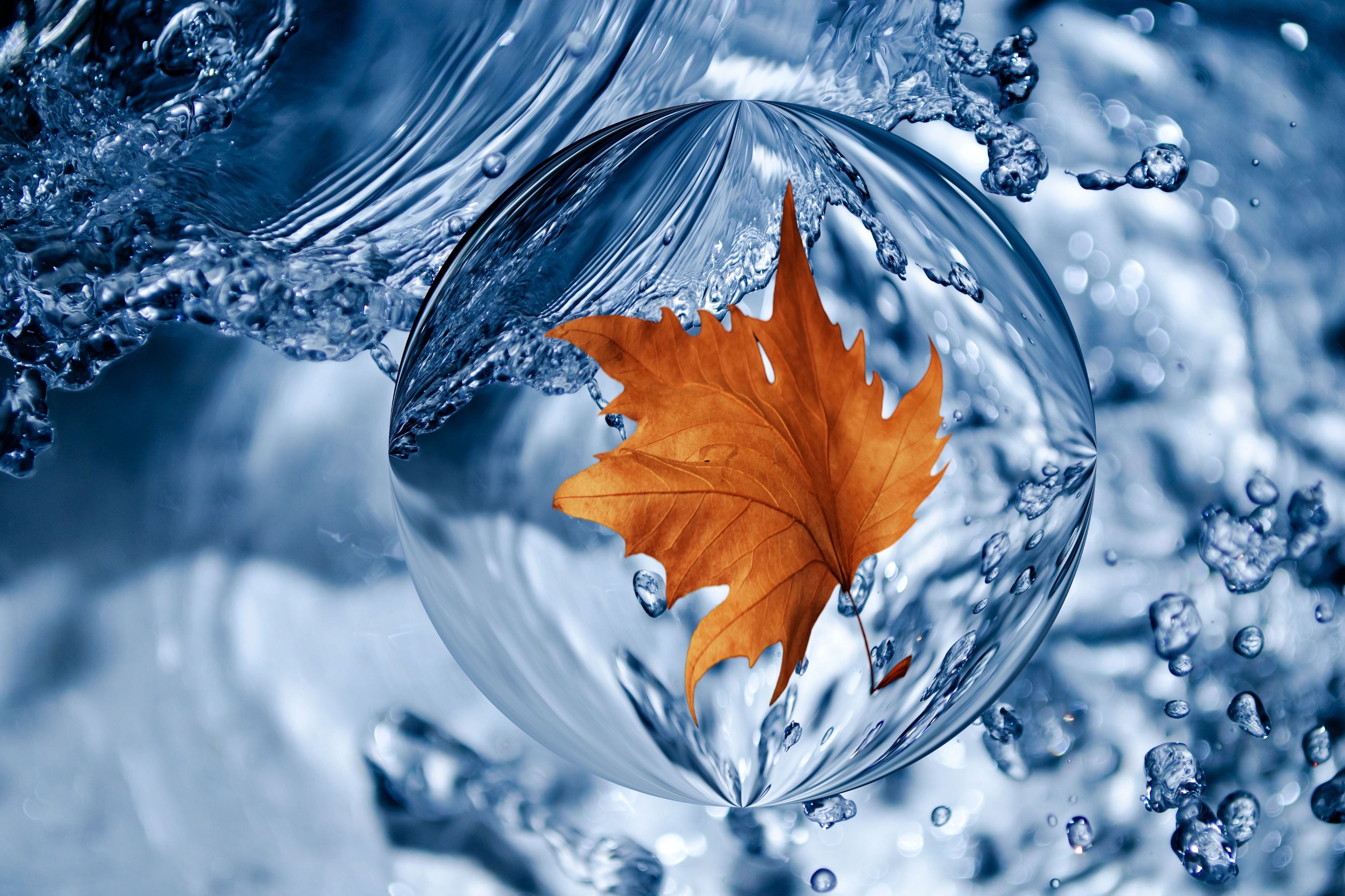 Free download wallpaper Water, Leaf, Earth, Water Drop on your PC desktop