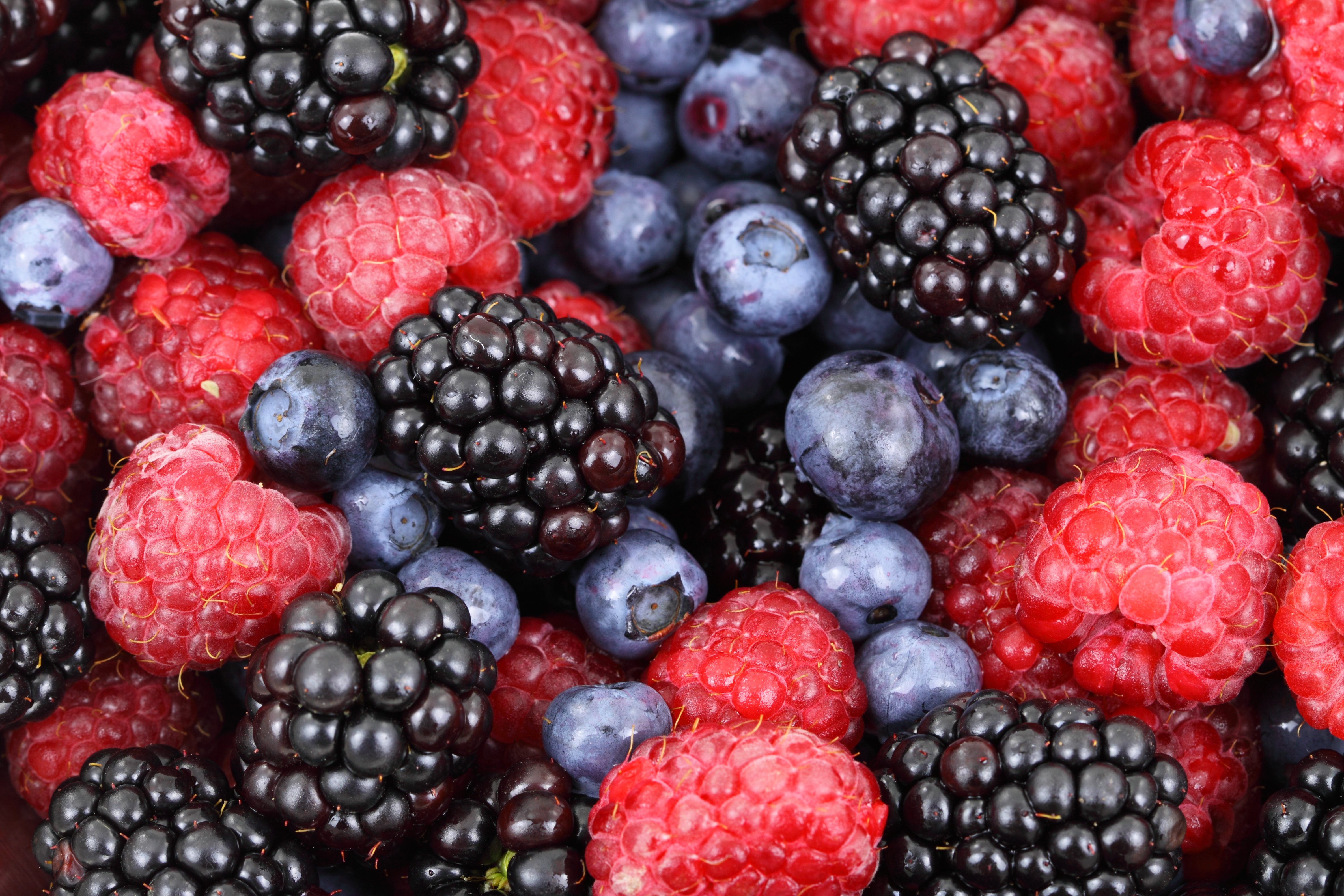 bilberries, berries, food, raspberry, blackberry HD wallpaper