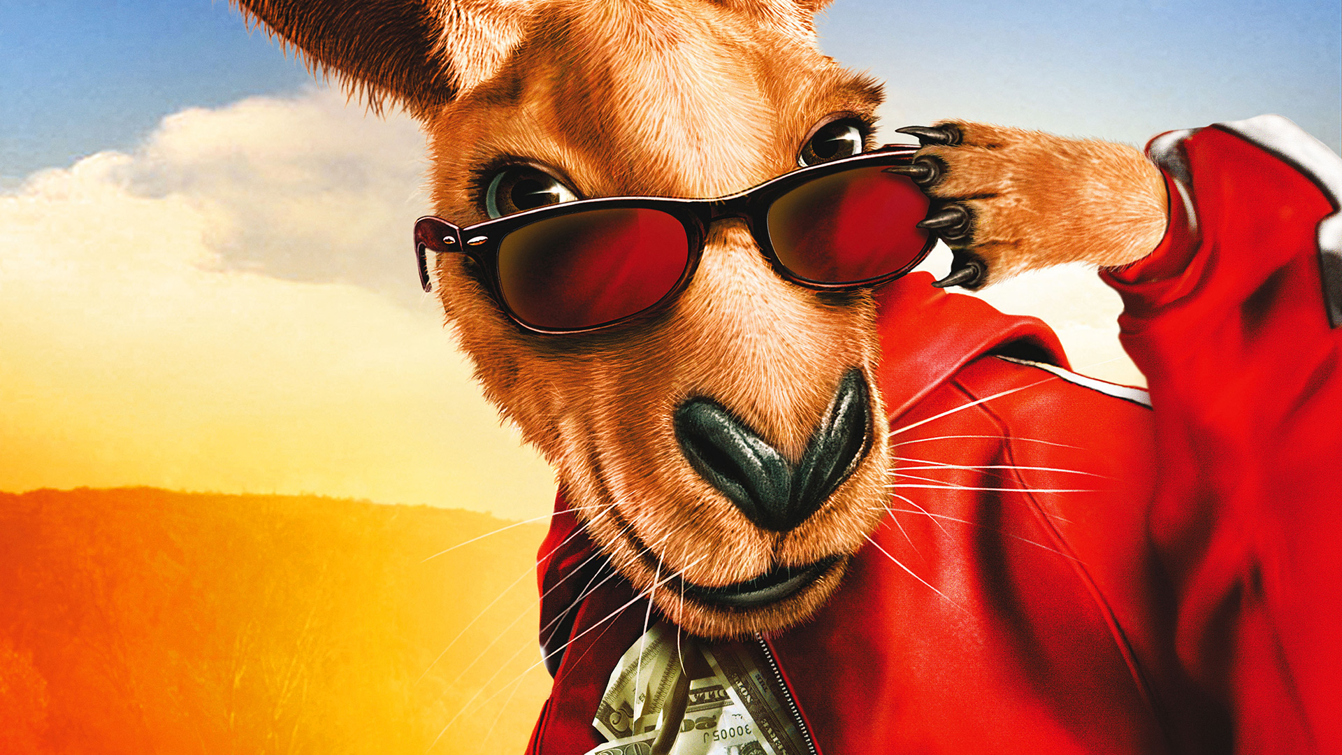 Laden Sie Kangaroo Jack HD-Desktop-Hintergründe herunter