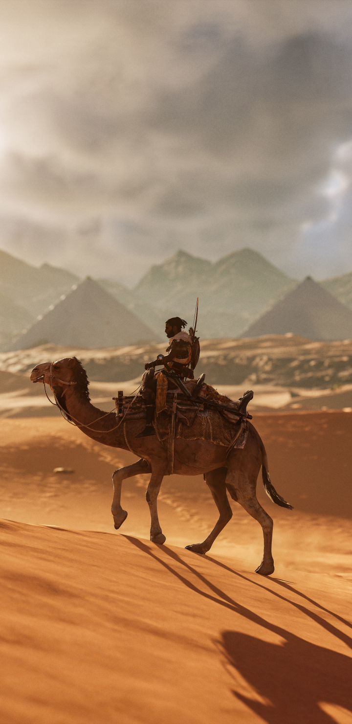 Скачати мобільні шпалери Пісок, Кредо Вбивці, Пустеля, Воїн, Верблюд, Відеогра, Assassin's Creed: Витоки безкоштовно.