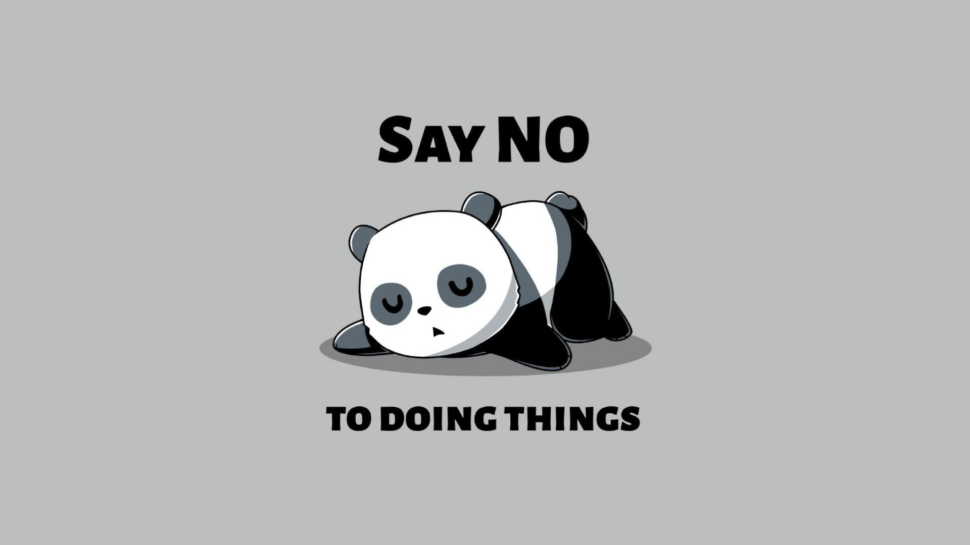 Download mobile wallpaper Panda, Humor for free.