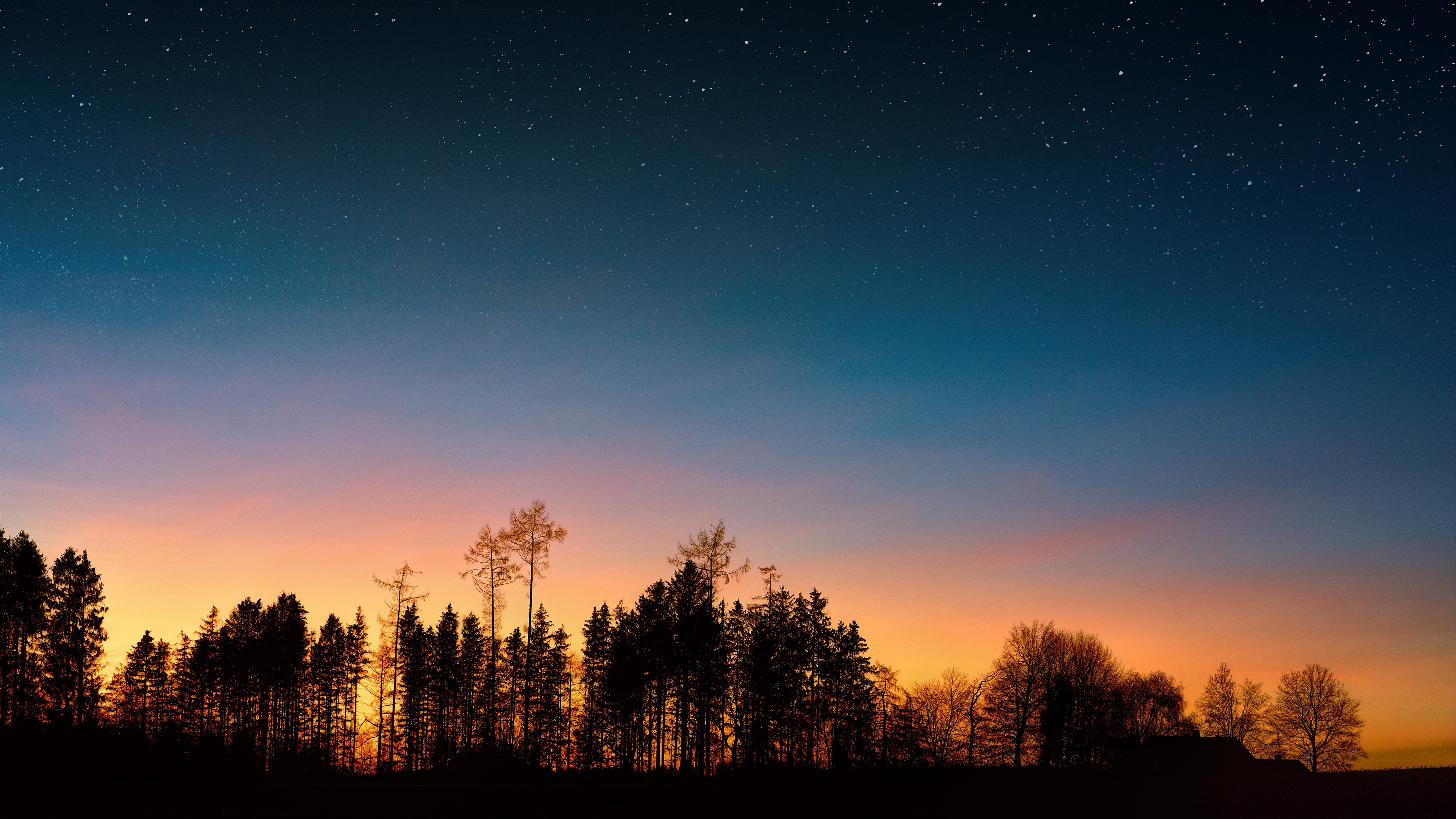 Download mobile wallpaper Trees, Nature, Forest, Starry Sky, Sunset, Night for free.