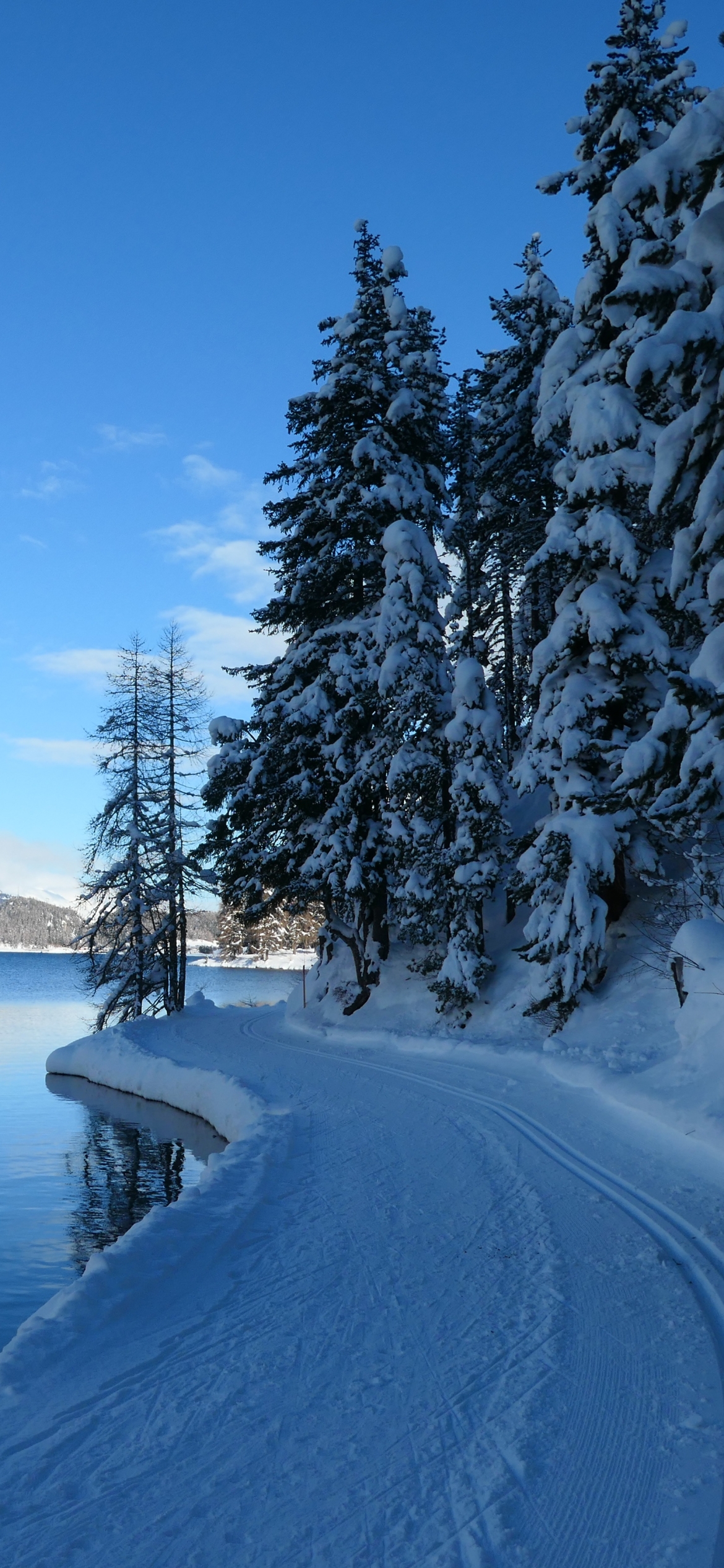 Скачать картинку Зима, Снег, Озеро, Дорога, Швейцария, Дорожка, Земля/природа, Озеро Сильваплана в телефон бесплатно.