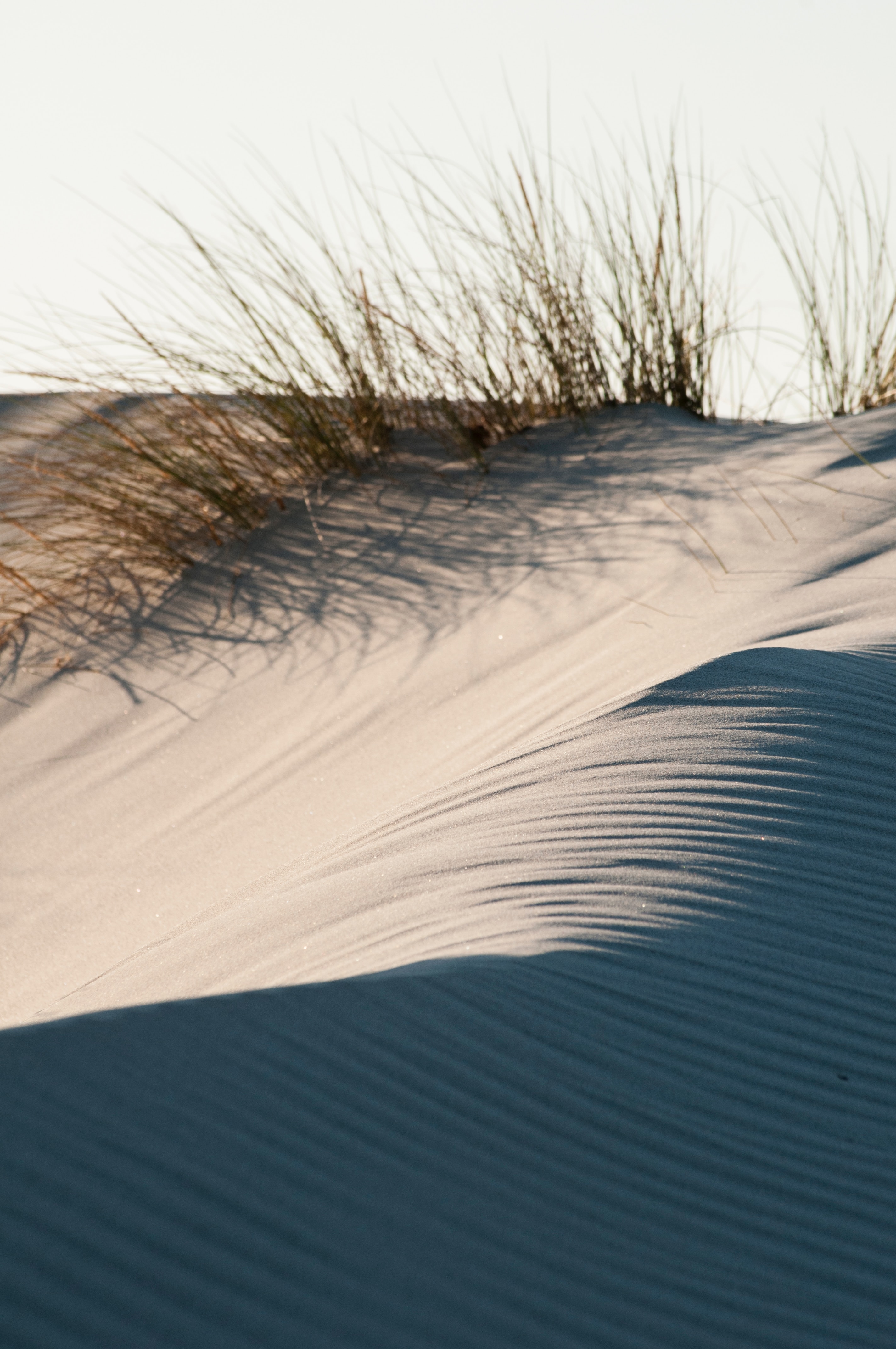 Скачать картинку Песок, Природа, Пустыня, Дюны, Трава в телефон бесплатно.