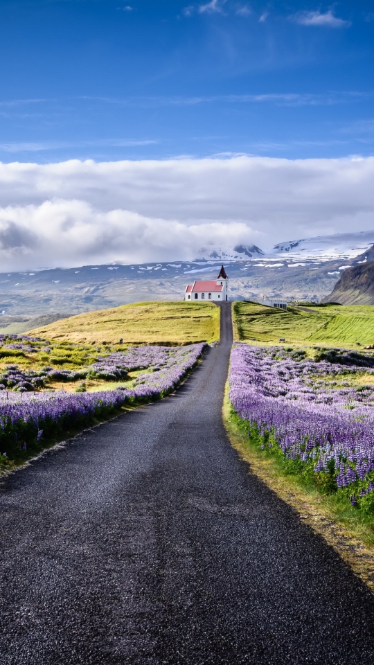 Download mobile wallpaper Landscape, Flower, Road, Cloud, Church, Lupine, Churches, Religious for free.