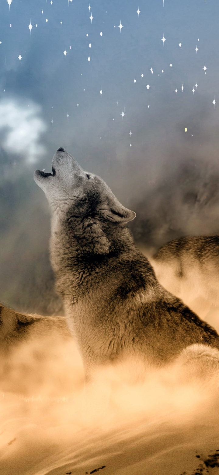 Descarga gratuita de fondo de pantalla para móvil de Animales, Fantasía, Lobo, Wolves.