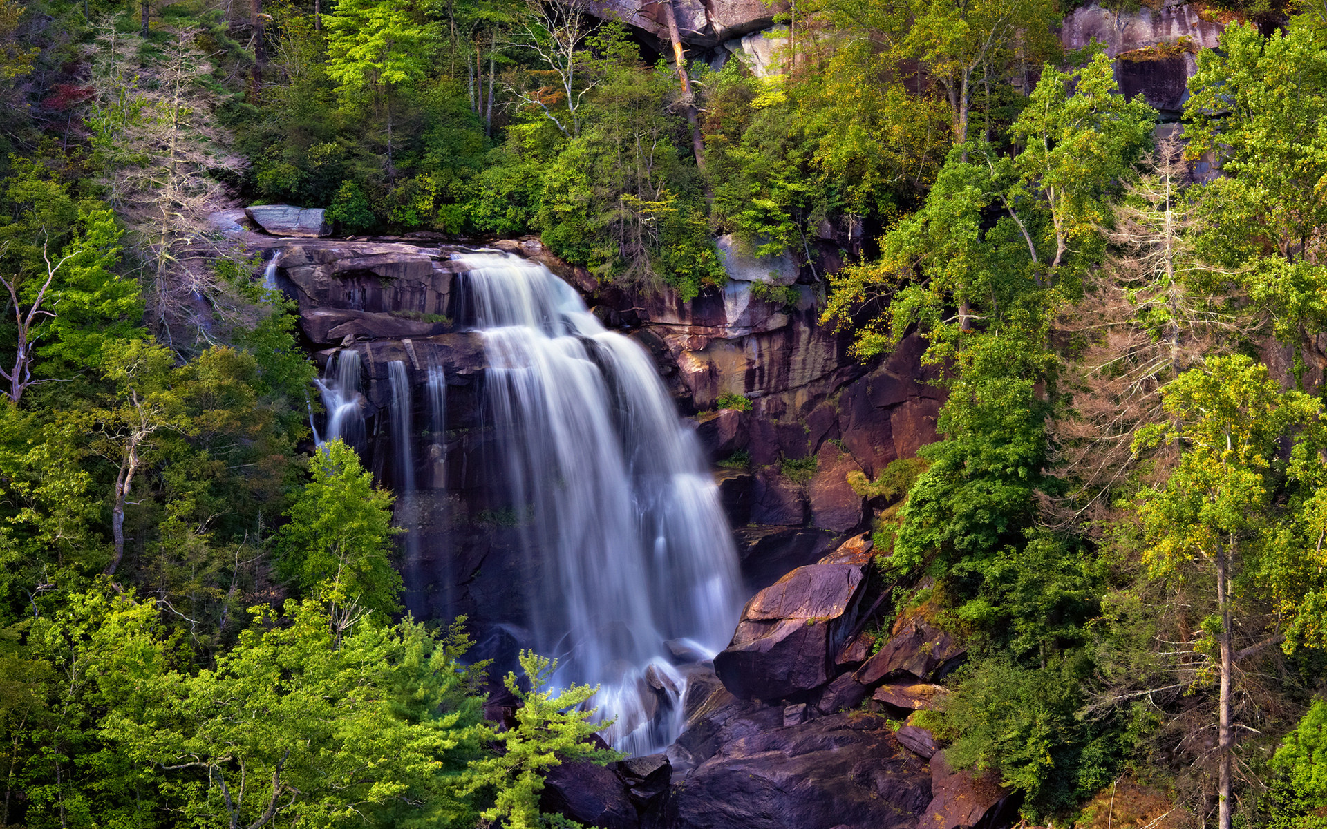 Download mobile wallpaper Waterfall, Forest, Earth for free.