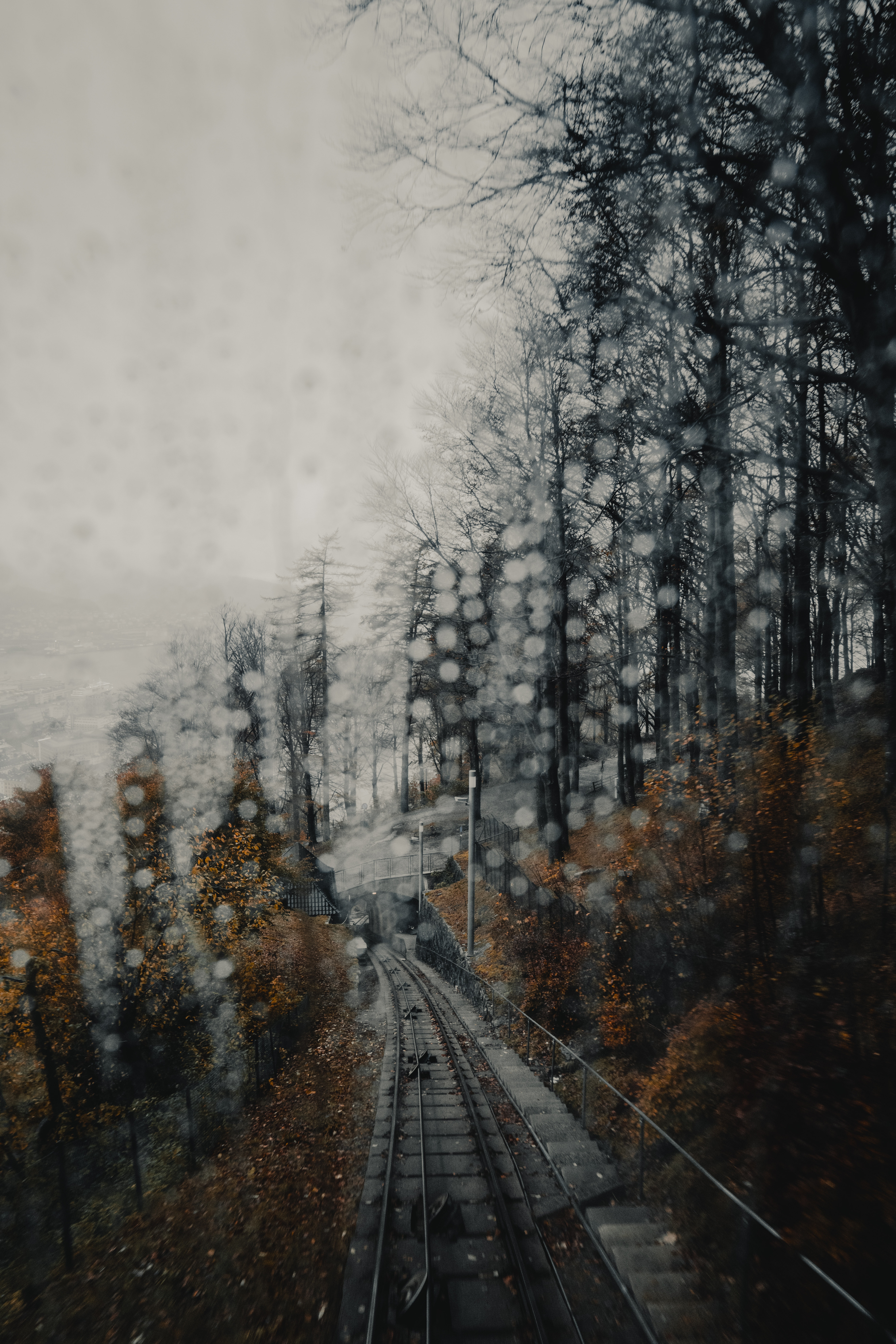 rails, nature, glare, forest, fog, railway