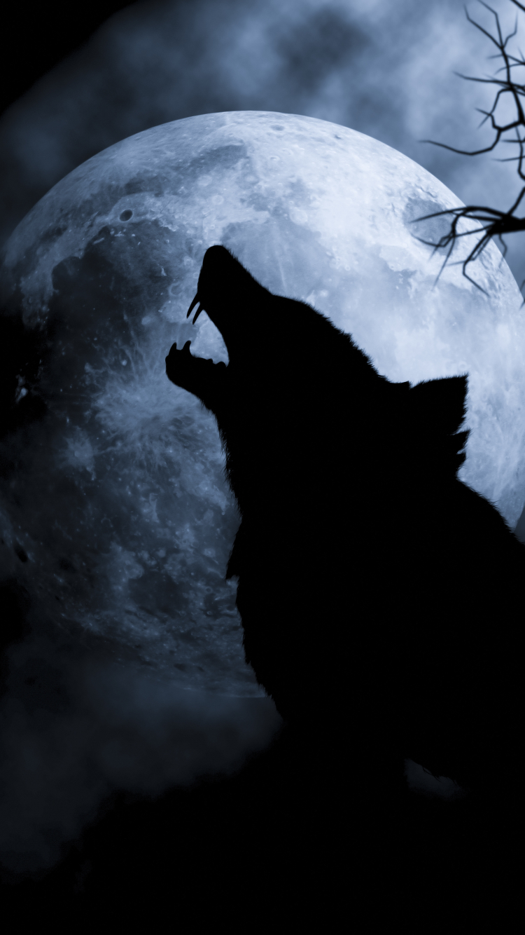 Download mobile wallpaper Fantasy, Wolf, Fantasy Animals for free.