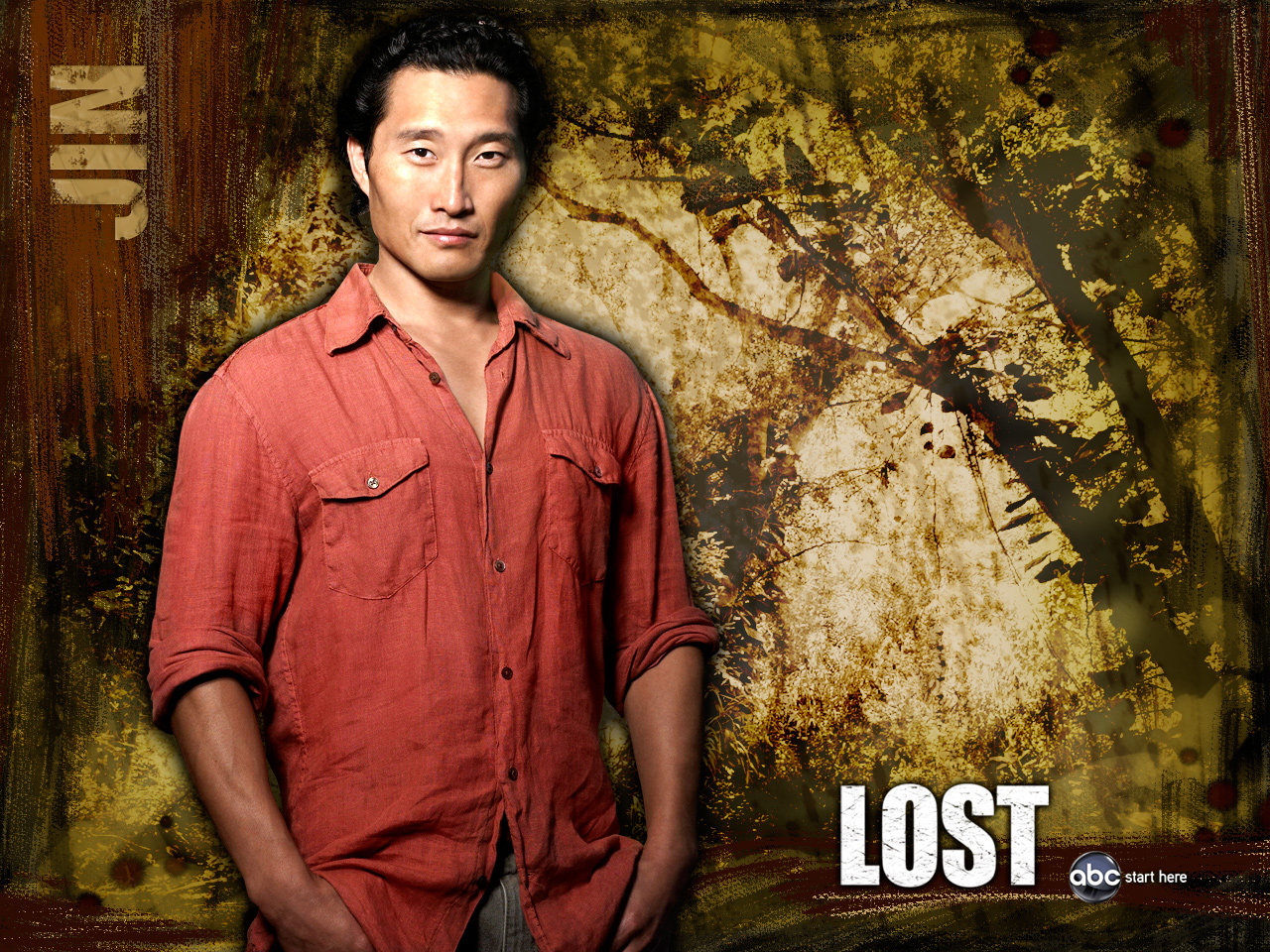 Download mobile wallpaper Lost, Tv Show, Lost (Tv Show) for free.