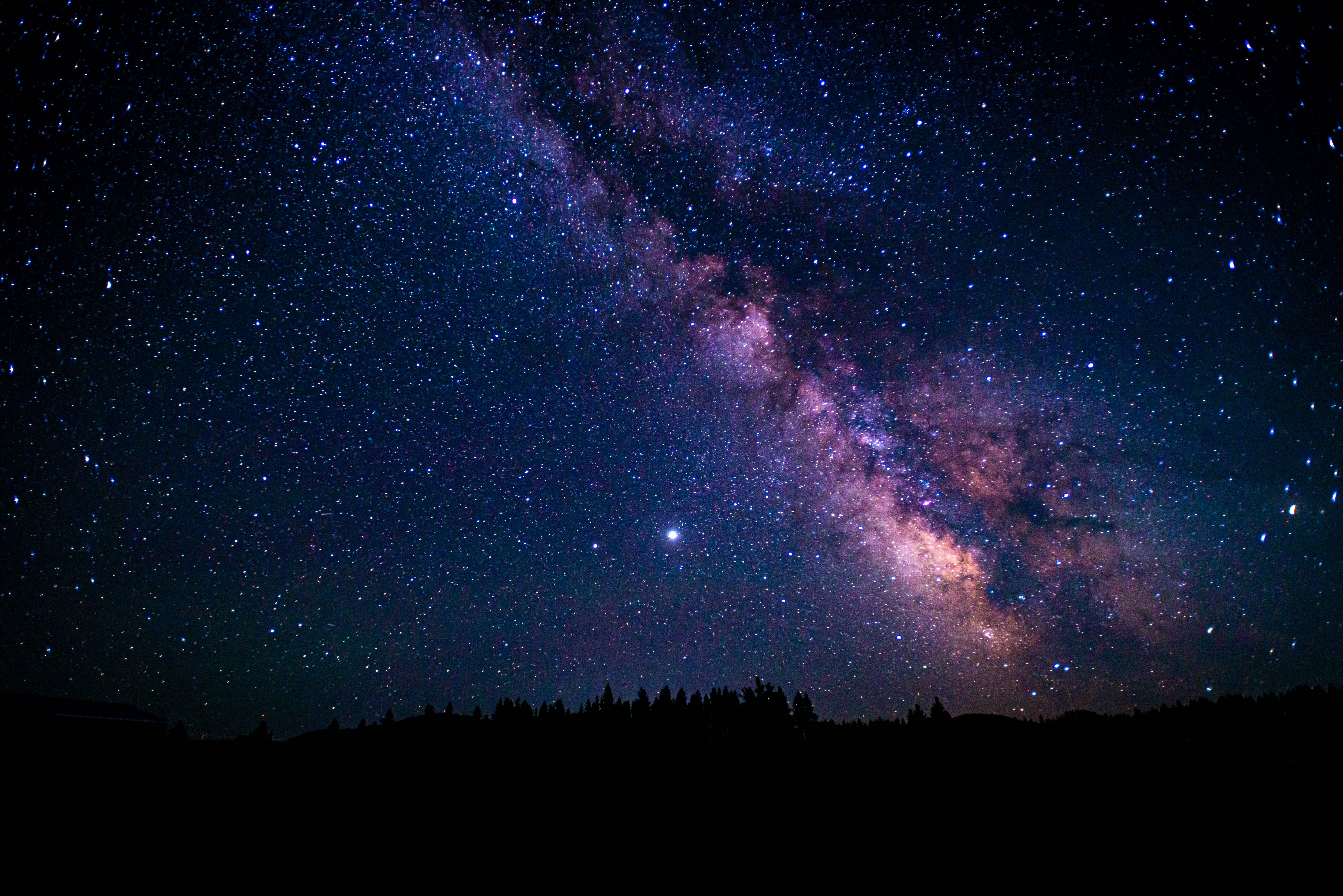 stars, starry sky, universe, night, trees, nebula HD wallpaper