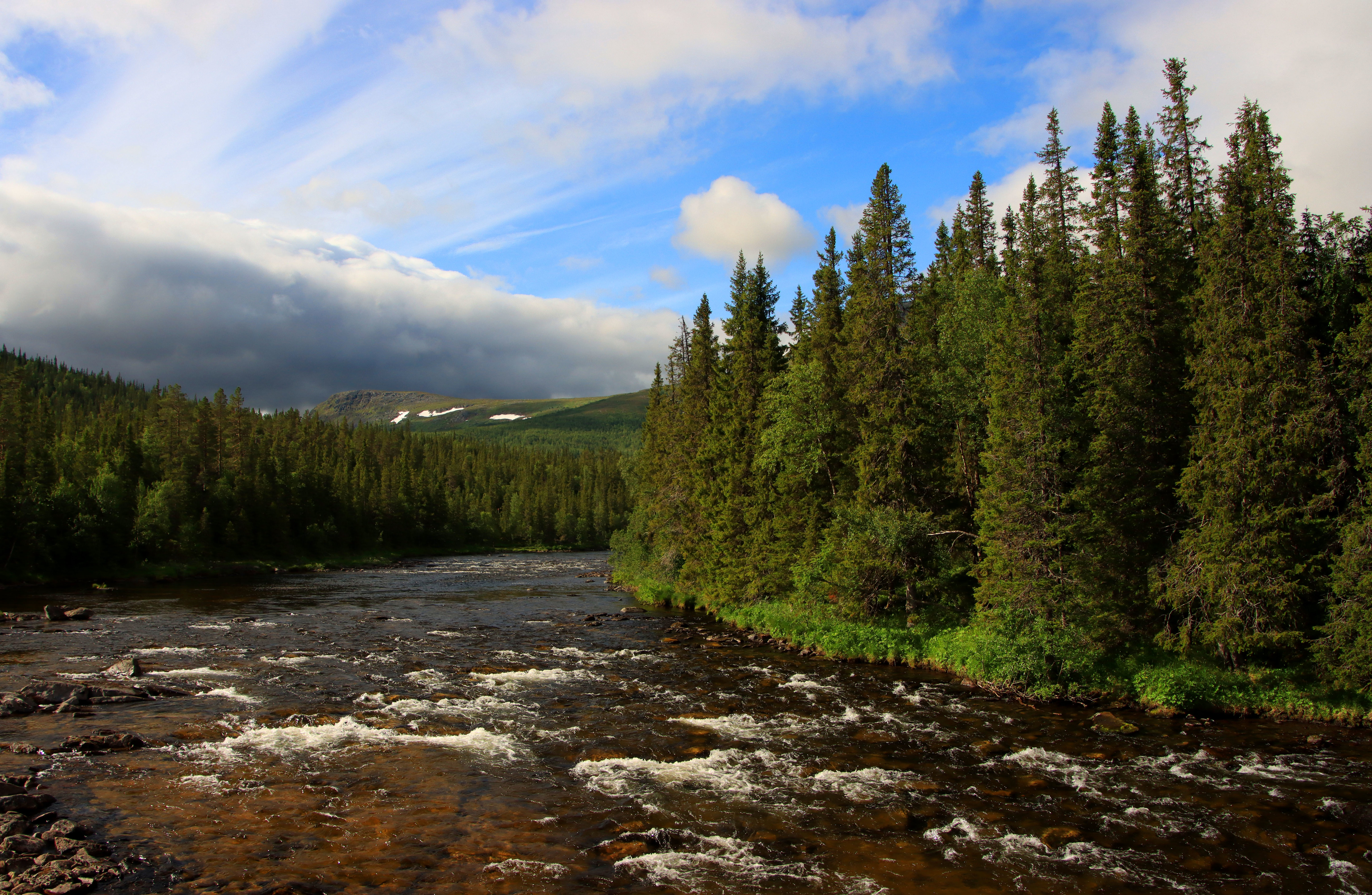 Free download wallpaper Rivers, Trees, Clouds, Spruce, Fir, Nature, Forest on your PC desktop