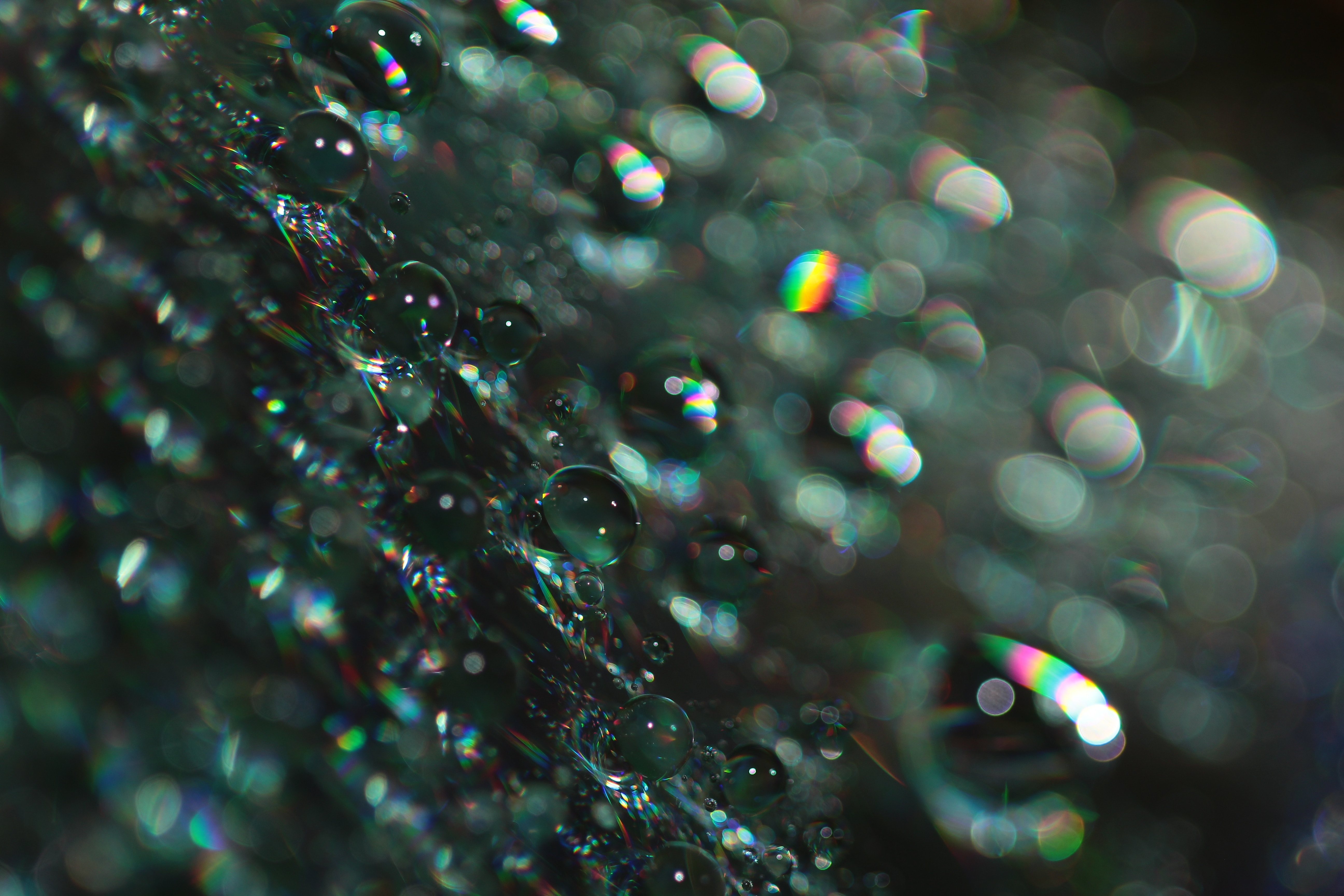 Download PC Wallpaper abstract, bubbles, macro, glare, shine, brilliance, bokeh, boquet