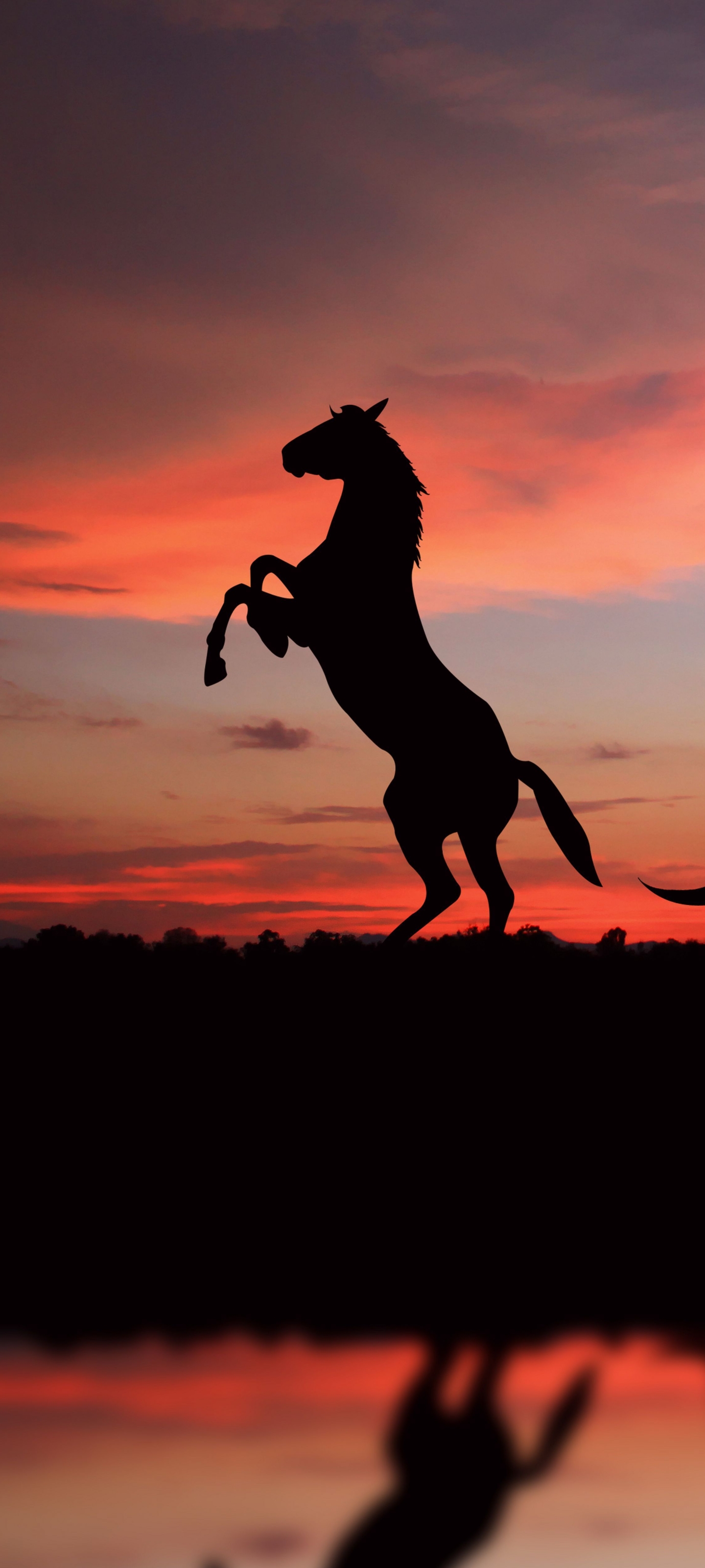 Download mobile wallpaper Sunset, Silhouette, Animal, Horse for free.