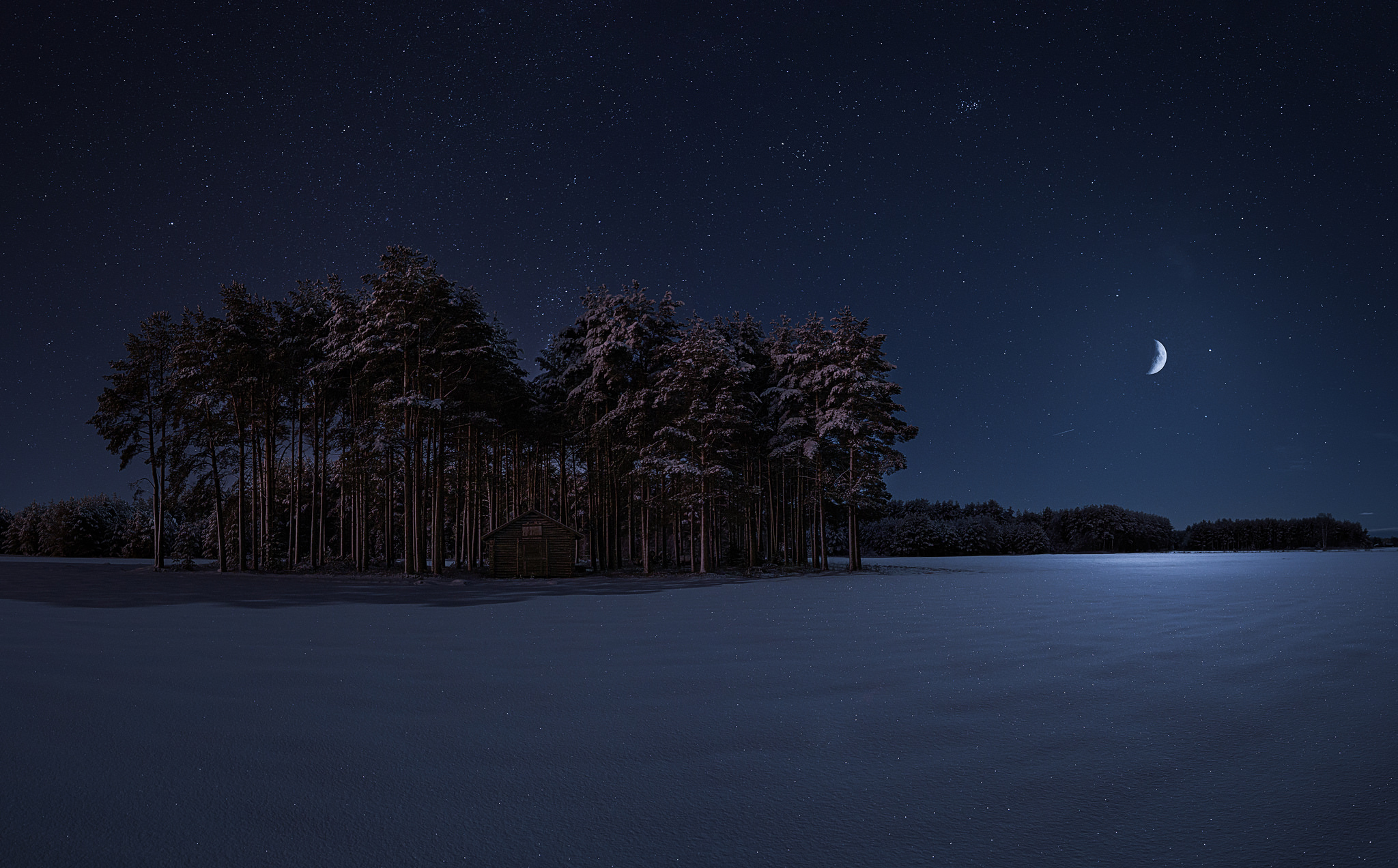 Laden Sie das Winter, Sterne, Mond, Schnee, Baum, Erde, Fotografie, Nacht, Sternenklarer Himmel-Bild kostenlos auf Ihren PC-Desktop herunter