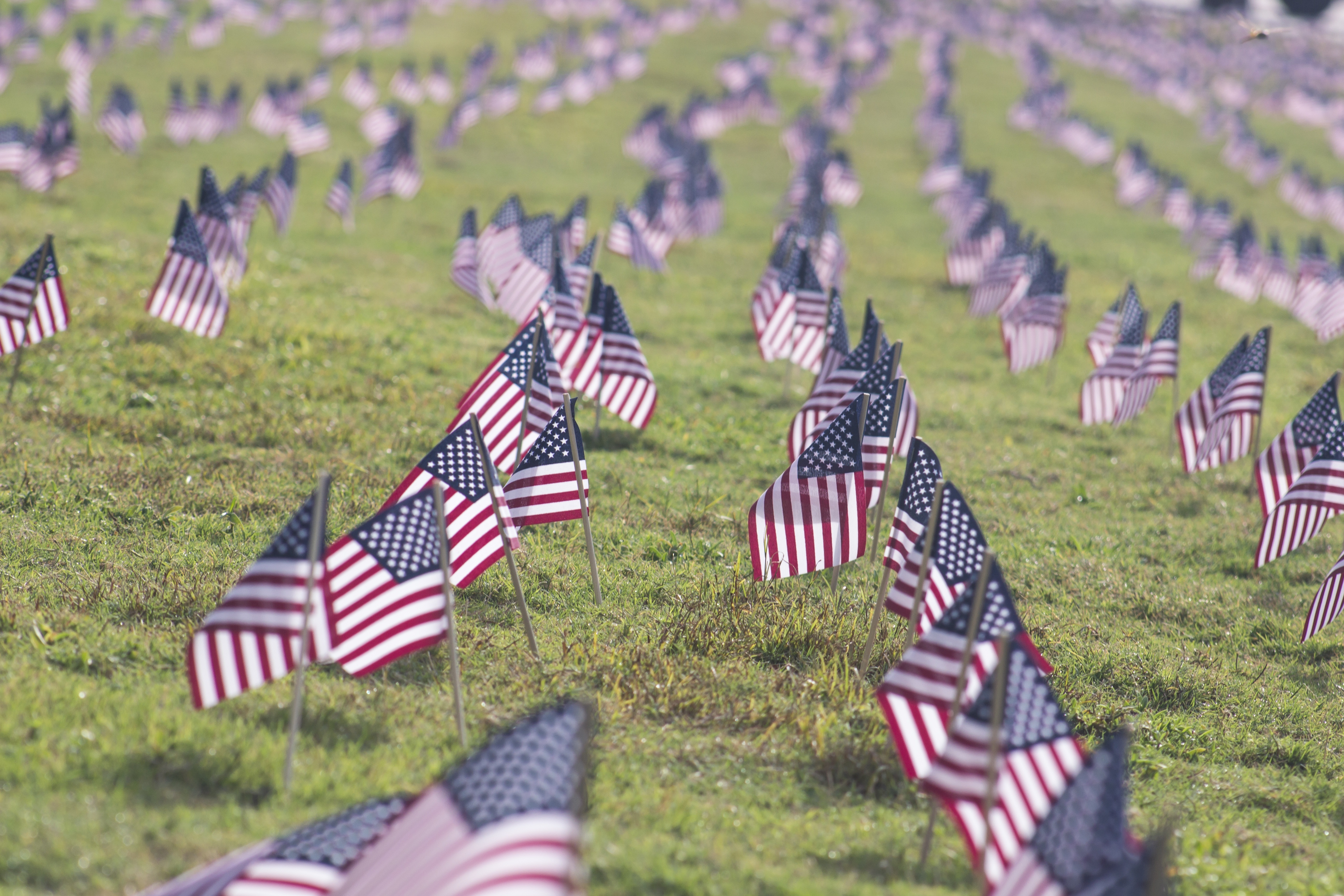 764898画像をダウンロードホリデー, 退役軍人の日, アメリカの国旗, 国旗, 草, 記念日-壁紙とスクリーンセーバーを無料で