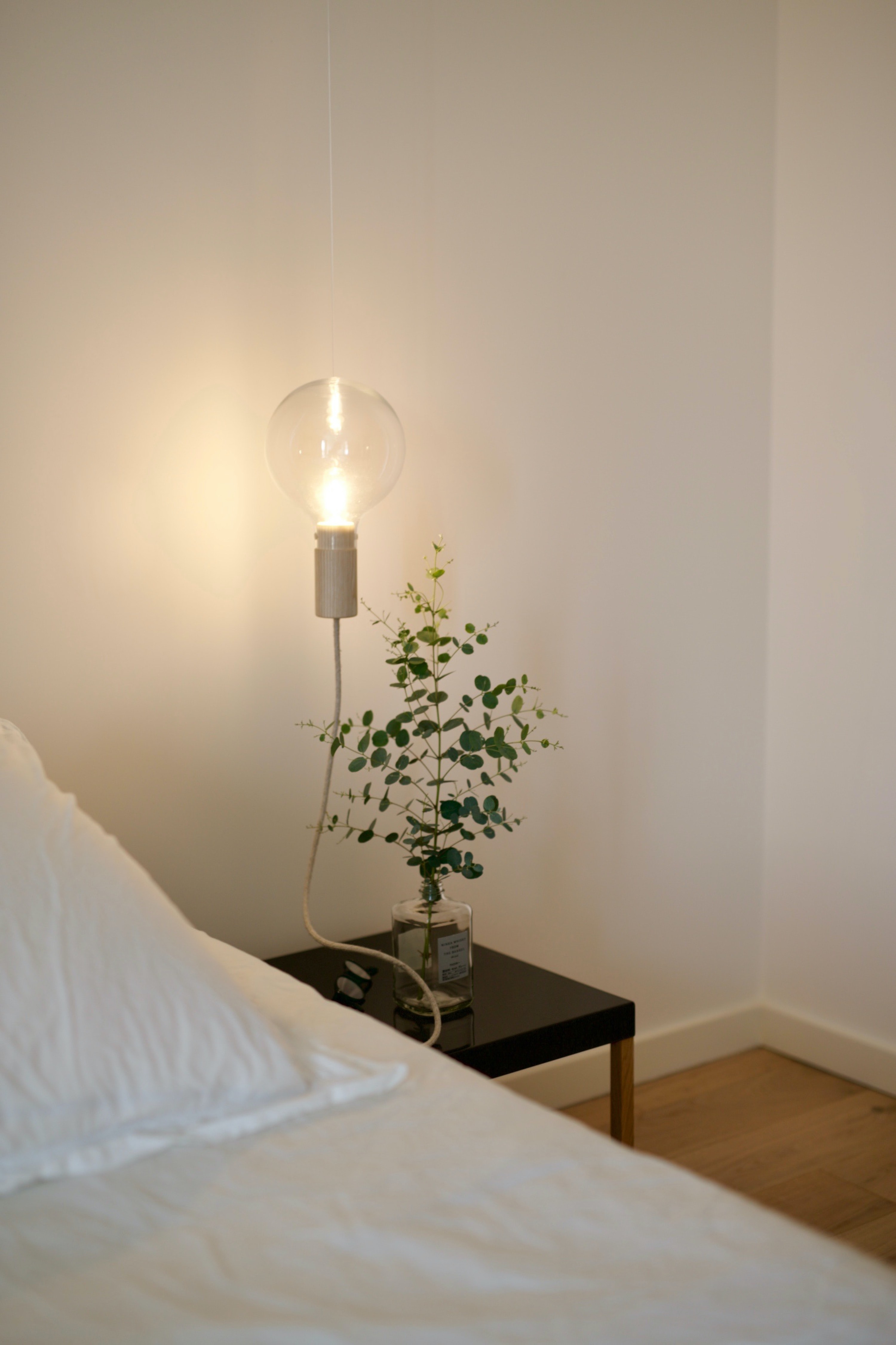 branch, light bulb, interior, miscellanea, miscellaneous, lamp, room