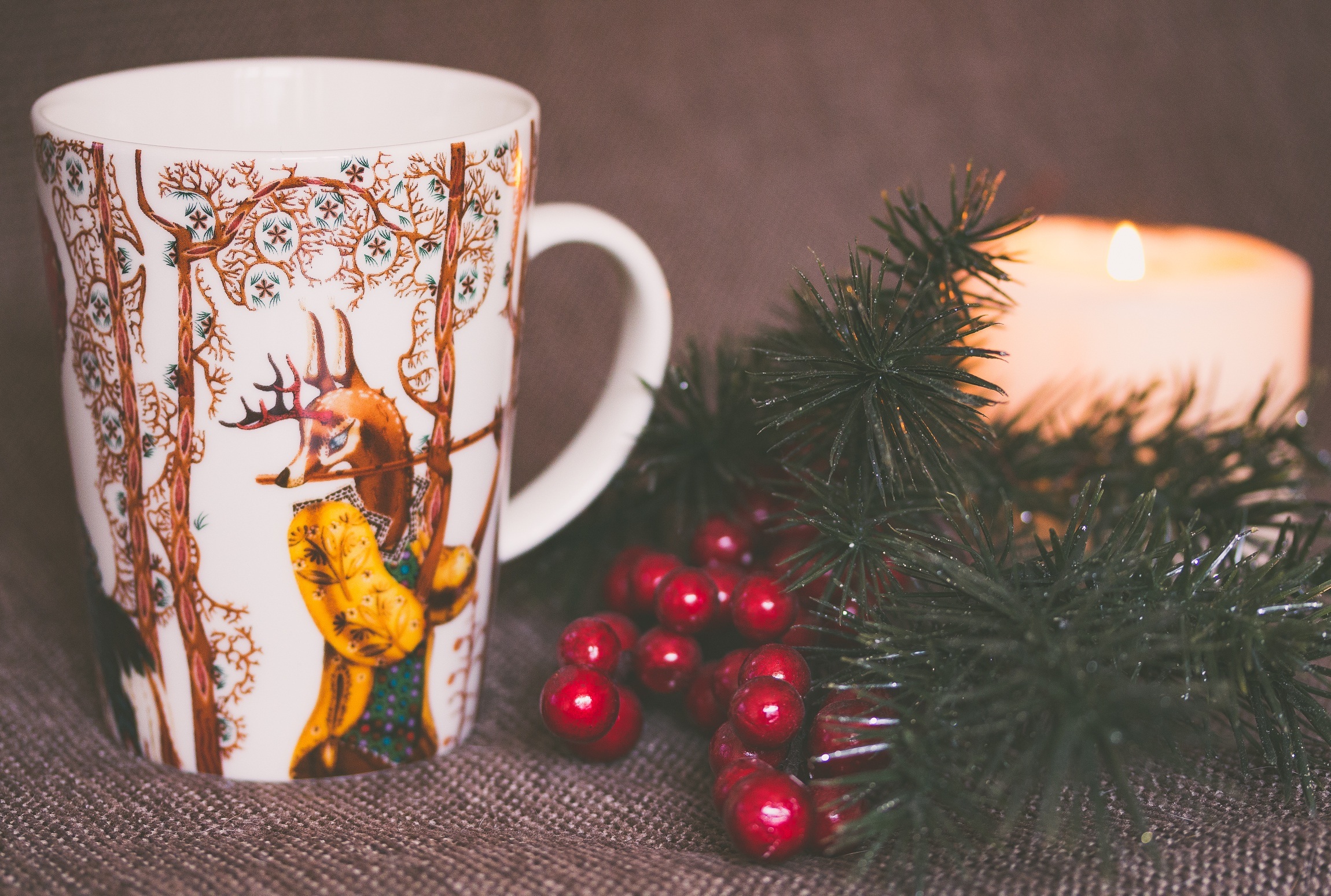 Free download wallpaper Branch, Candle, Holidays, Cup, Christmas, Deer on your PC desktop