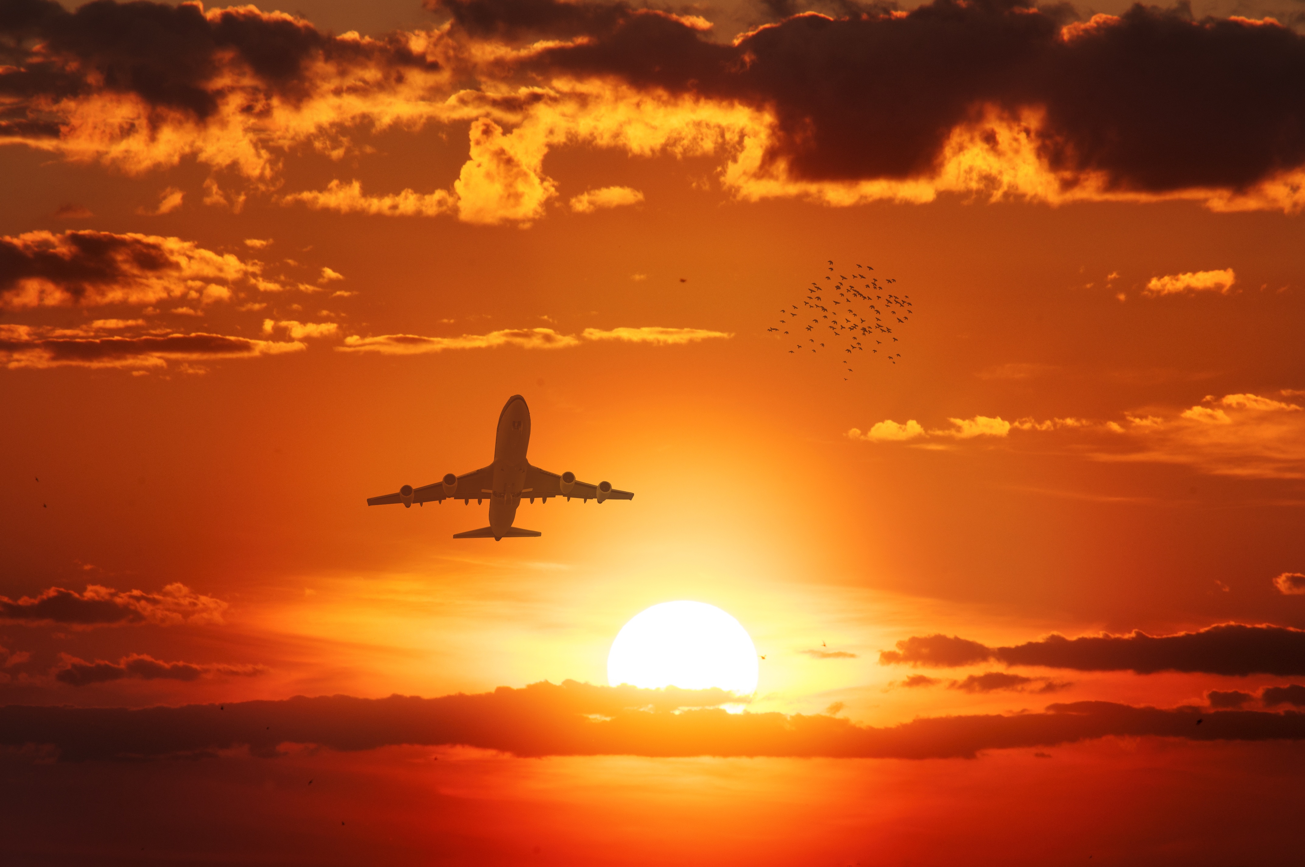 Laden Sie das Flugzeug, Himmel, Sonnenuntergang, Sonne, Fahrzeuge-Bild kostenlos auf Ihren PC-Desktop herunter