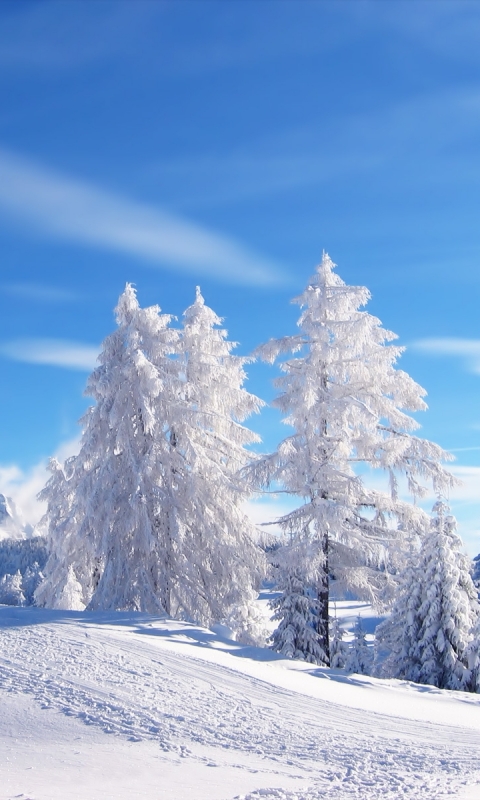 Handy-Wallpaper Landschaft, Winter, Schnee, Erde/natur kostenlos herunterladen.