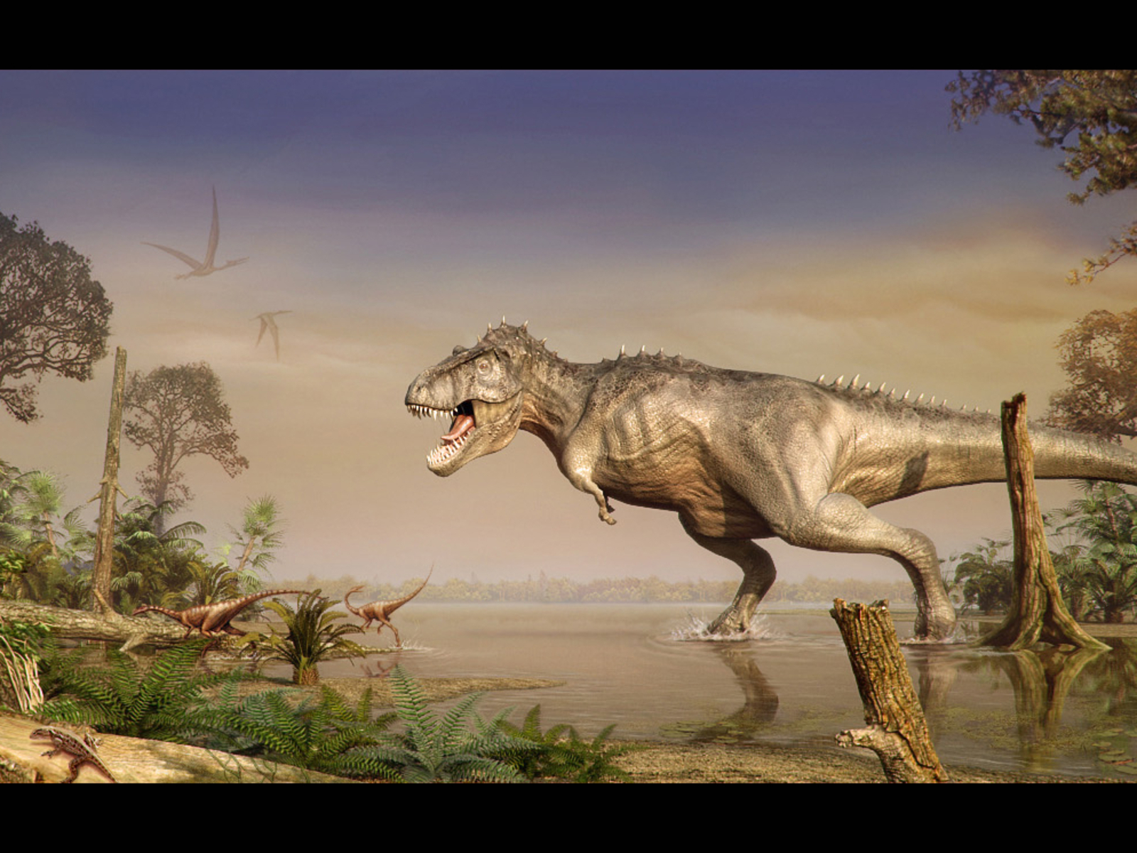 177432 descargar imagen animales, dinosaurio, dinosaurios: fondos de pantalla y protectores de pantalla gratis