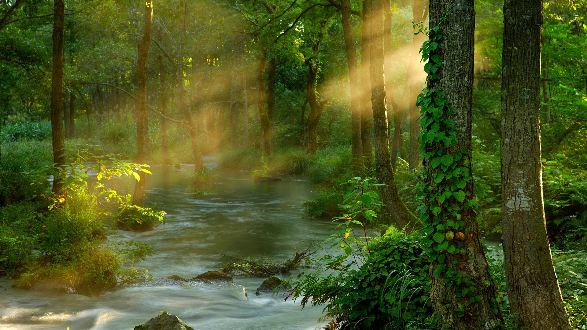 Téléchargez gratuitement l'image Terre/nature, Rivière sur le bureau de votre PC