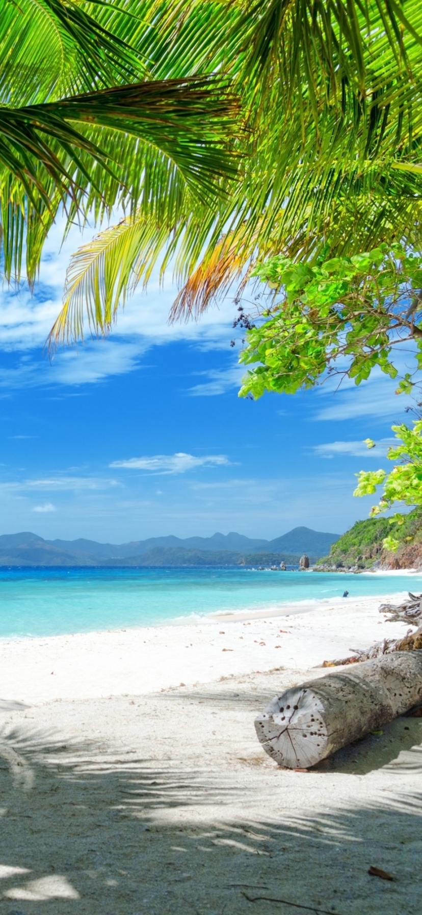 Скачать картинку Пляж, Тропики, Тропический, Земля/природа в телефон бесплатно.