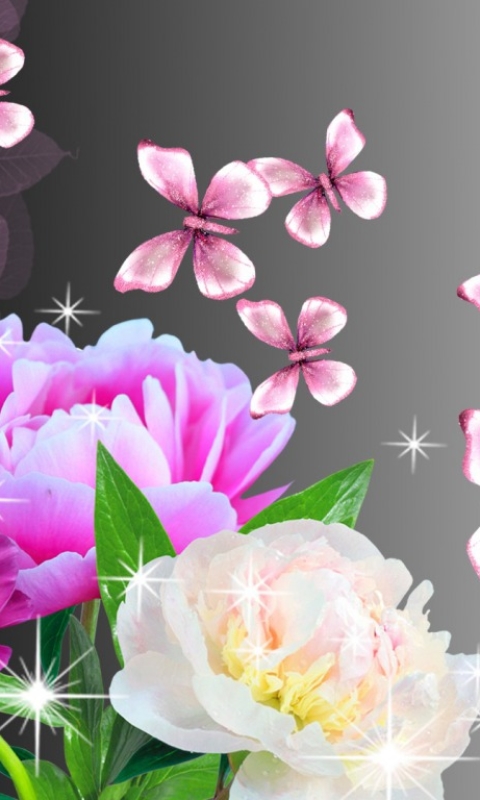 1106096 Bildschirmschoner und Hintergrundbilder Blumen auf Ihrem Telefon. Laden Sie  Bilder kostenlos herunter