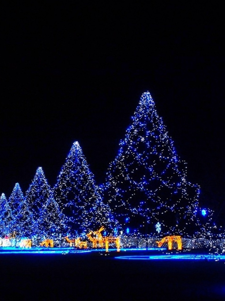 Download mobile wallpaper Night, Light, Christmas, Holiday, Christmas Tree, Christmas Lights for free.