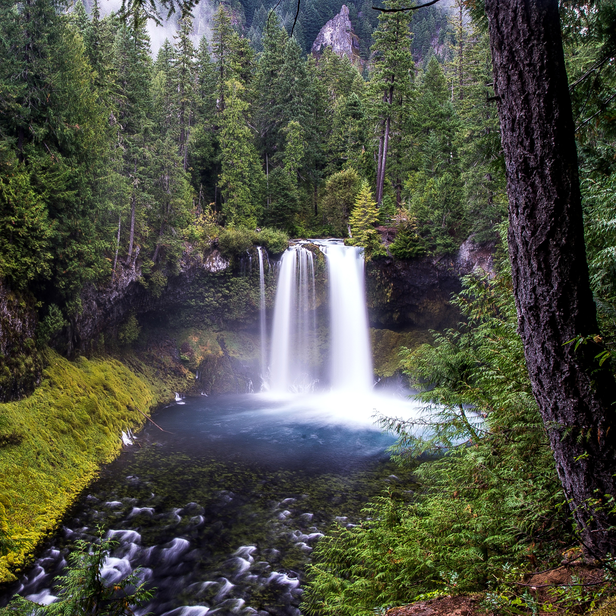 Скачать обои бесплатно Водопады, Водопад, Лес, Дерево, Земля, Зеленый, Земля/природа картинка на рабочий стол ПК