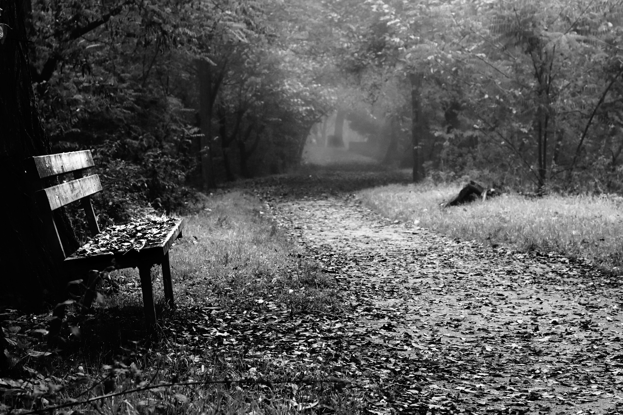 Download mobile wallpaper Nature, Path, Monochrome, Bench, Man Made, Black & White for free.