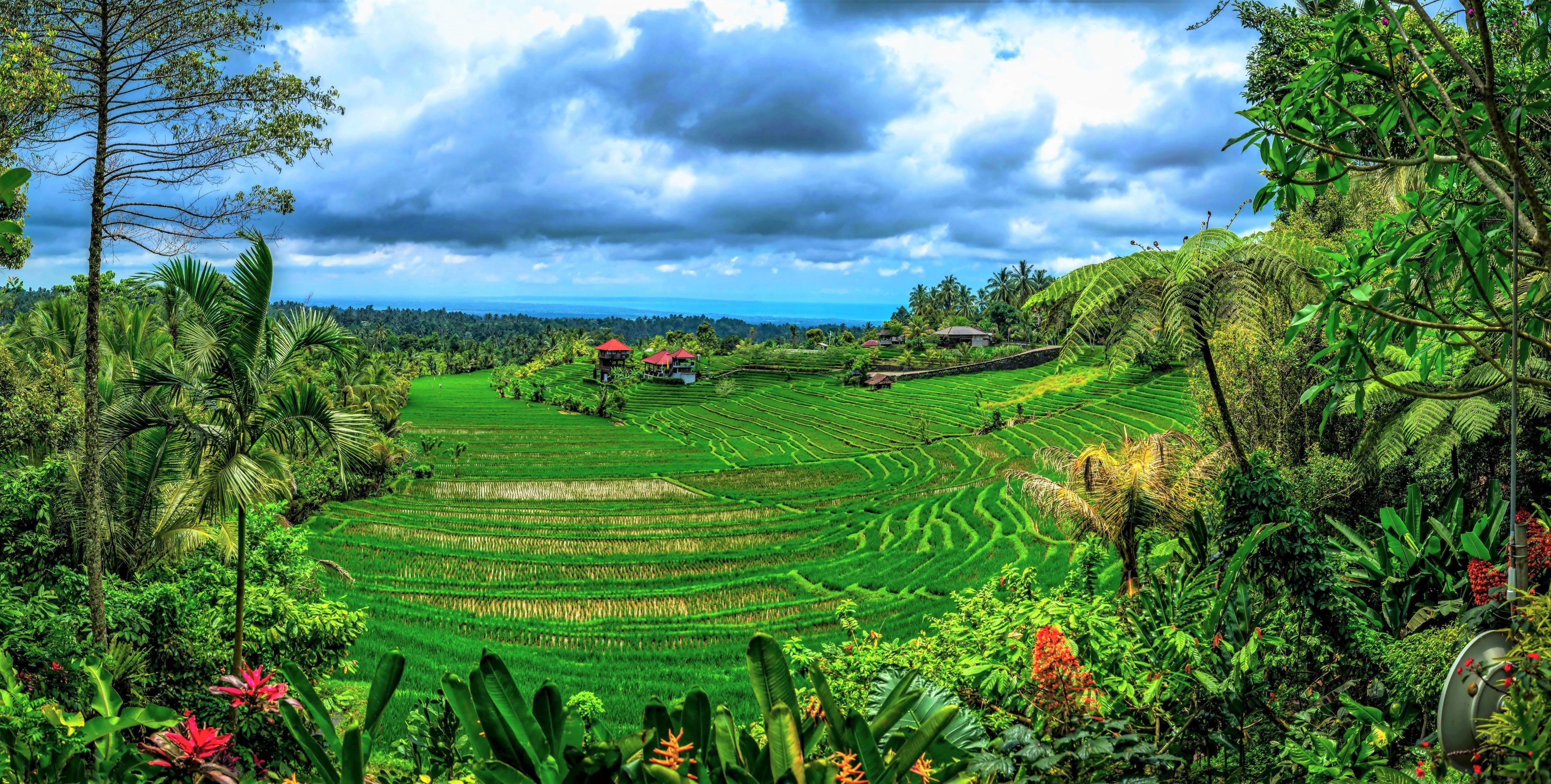 878375 скачать картинку бали, сделано человеком, рисовая терраса, земля, зеленый, индонезия, ландшафт, дерево, тропический - обои и заставки бесплатно