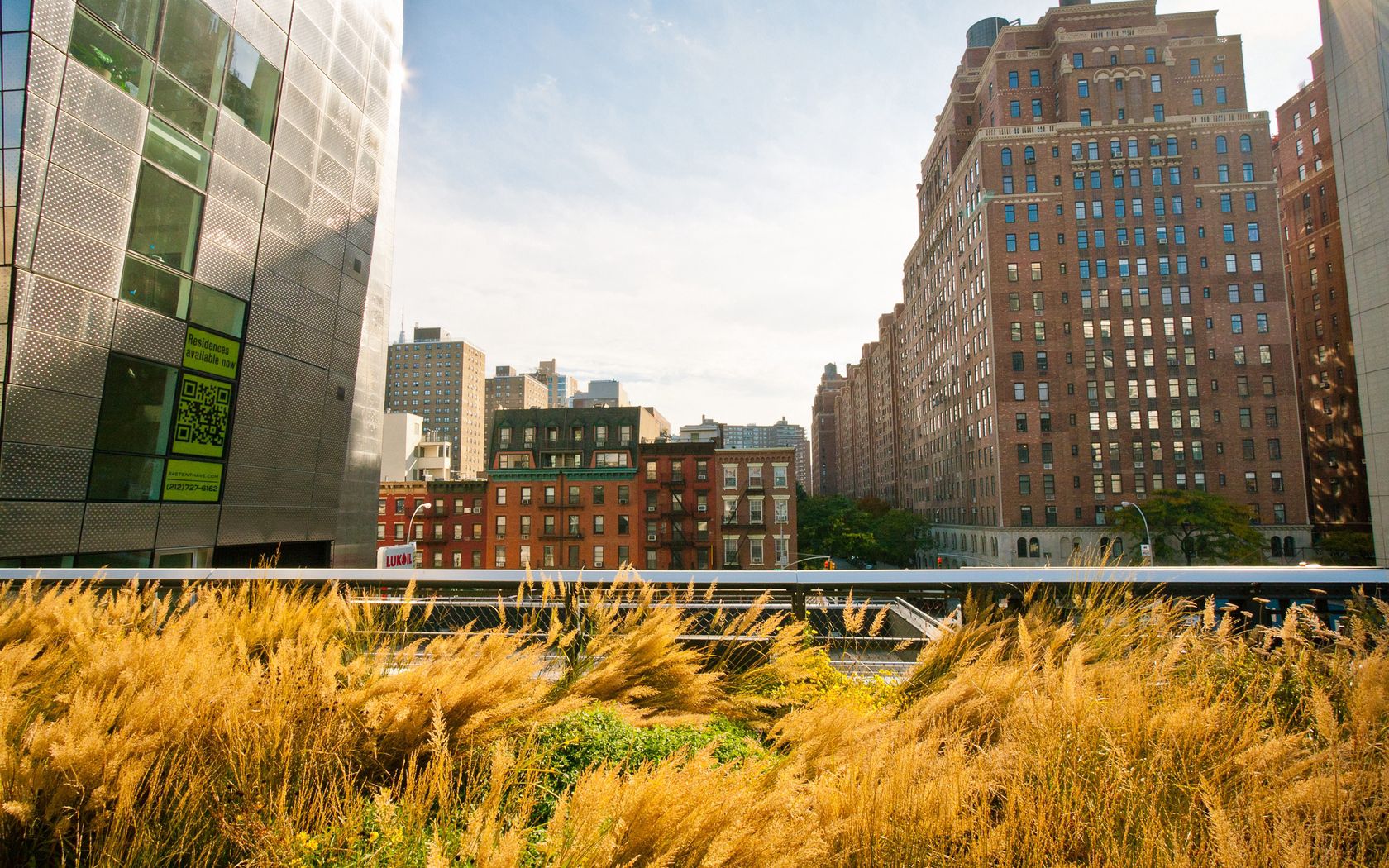 Download mobile wallpaper Grass, Building, Sky, Cities, Street, New York for free.