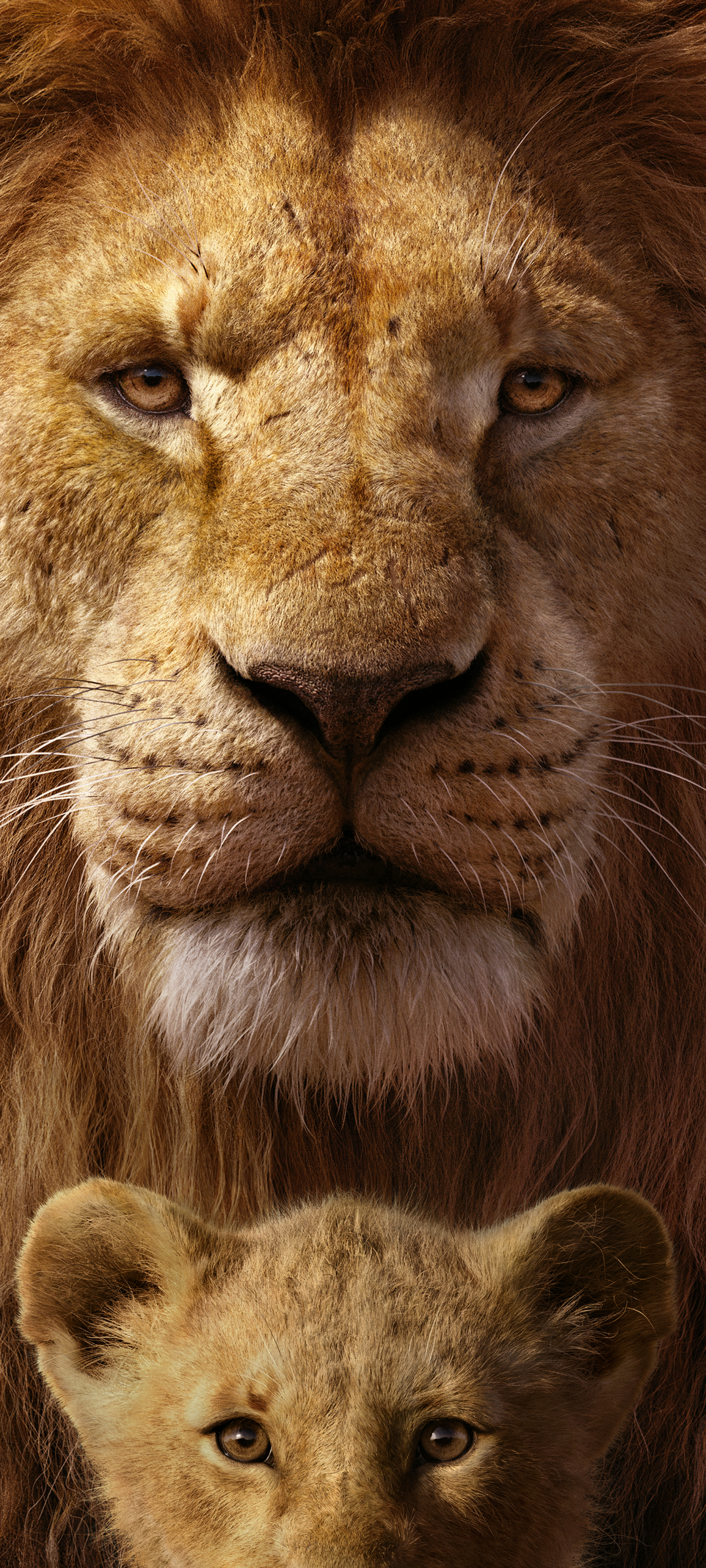 1425218 скачать обои симба, король лев (2019), кино, муфаса (король лев) - заставки и картинки бесплатно