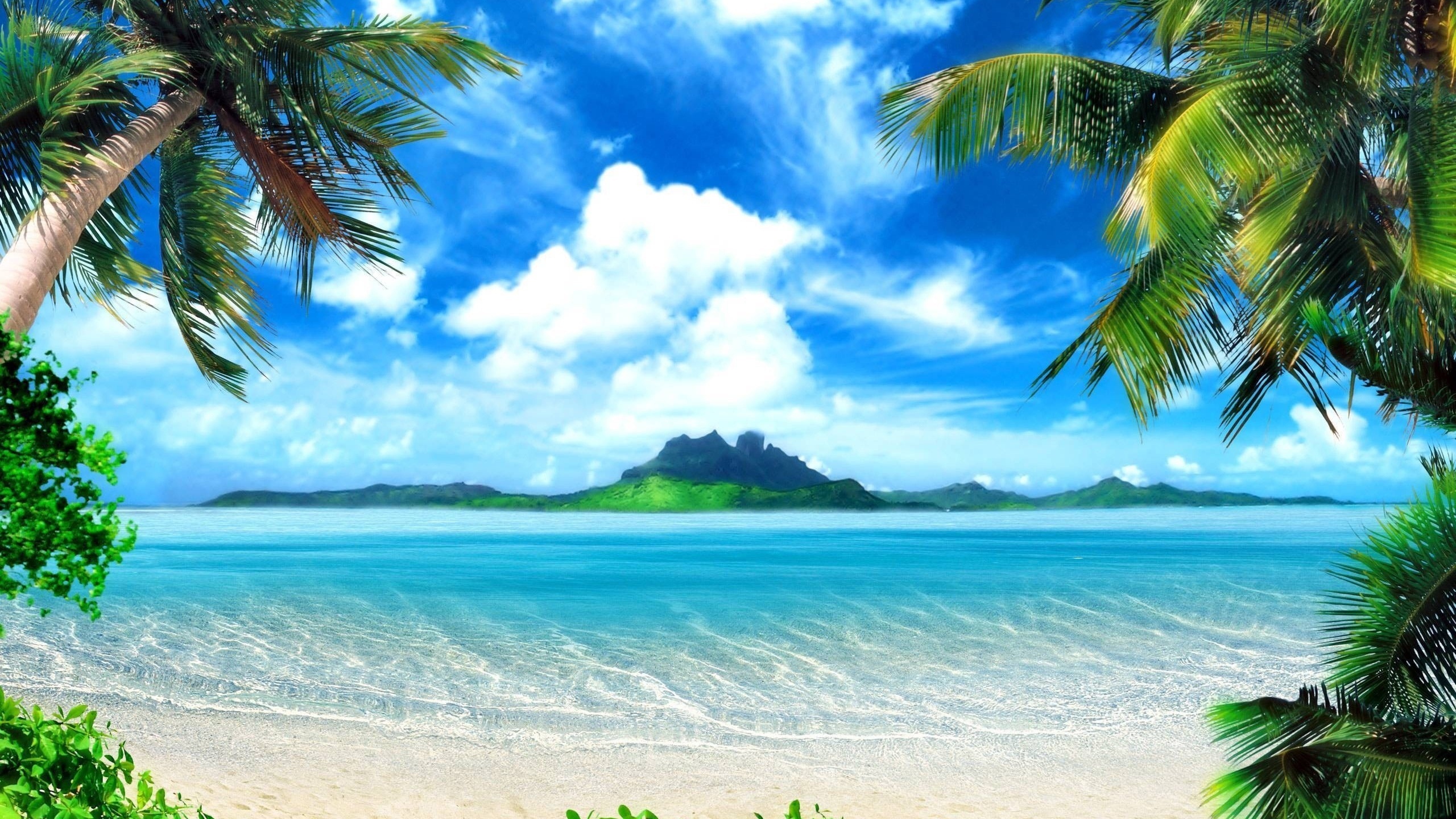 landscape, sea, beach, palms