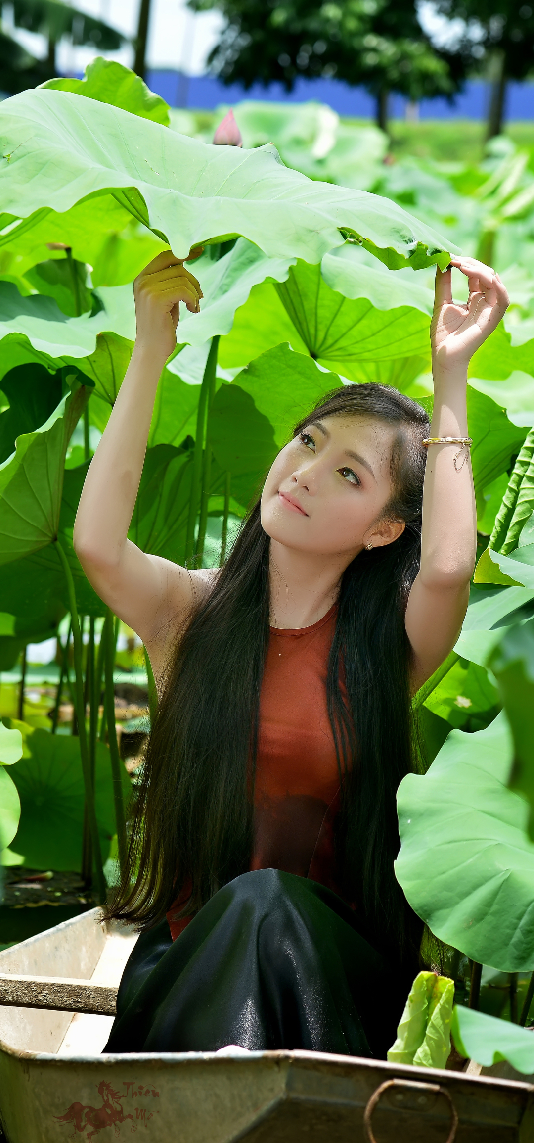 Download mobile wallpaper Lotus, Leaf, Women, Asian, Vietnamese for free.