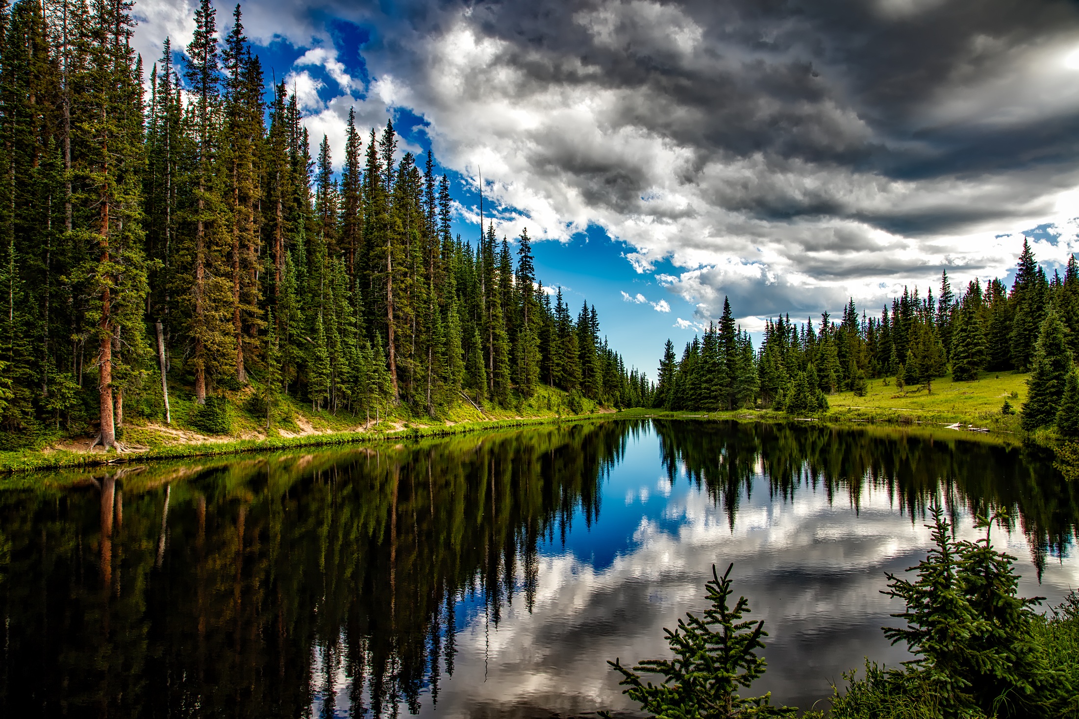 nature, earth, lake, cloud, colorado, forest, national park, reflection, tree, lakes