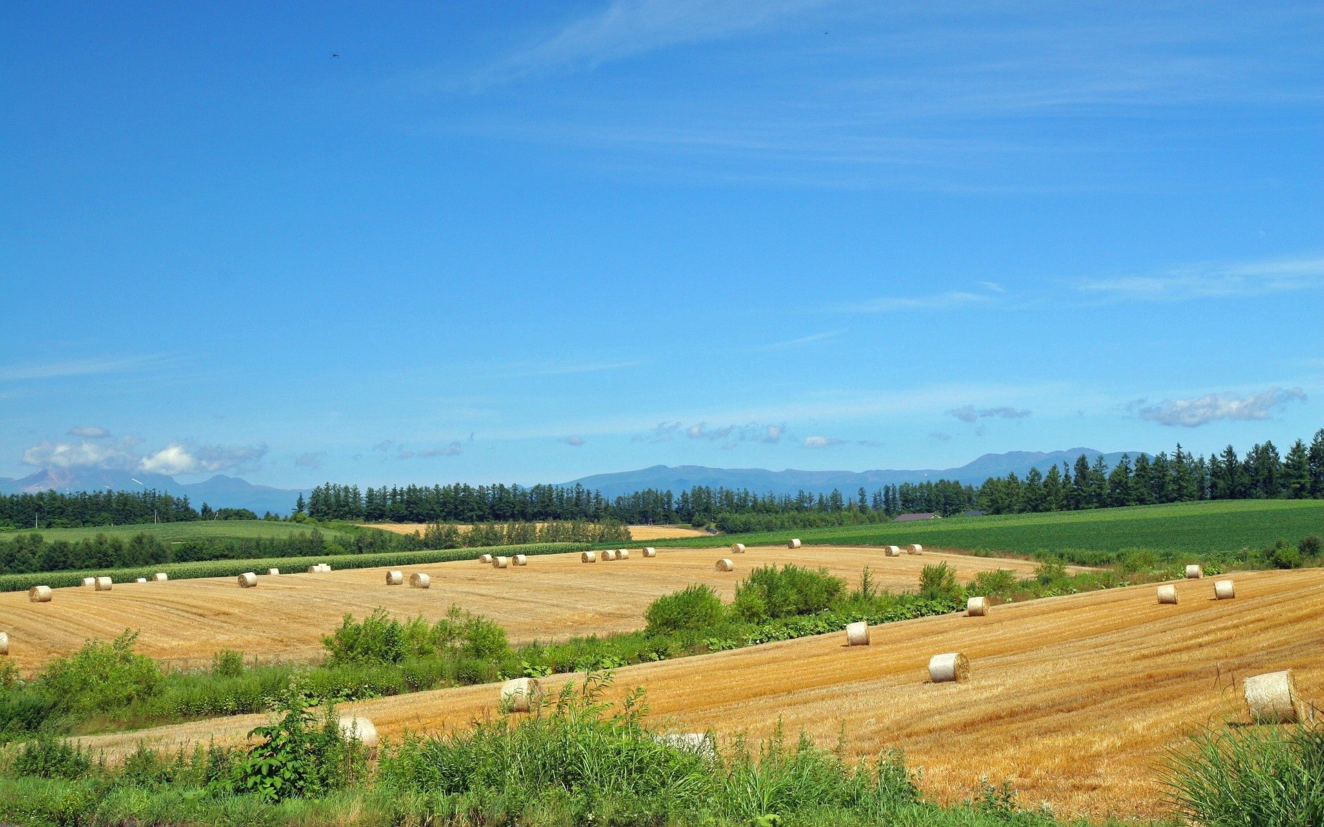 summer, farm, fields, straw, nature, economy, hay, blank, provision