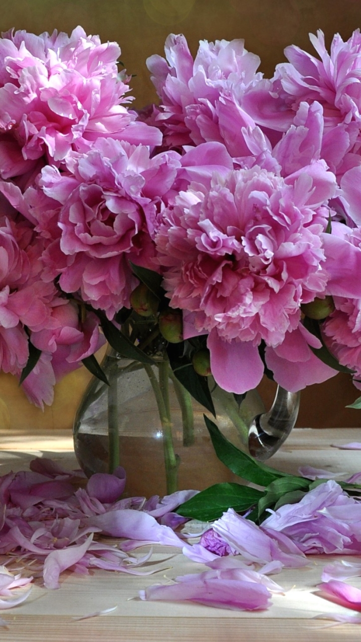 Handy-Wallpaper Blume, Erde, Vase, Pfingstrose, Menschengemacht, Pinke Blume kostenlos herunterladen.