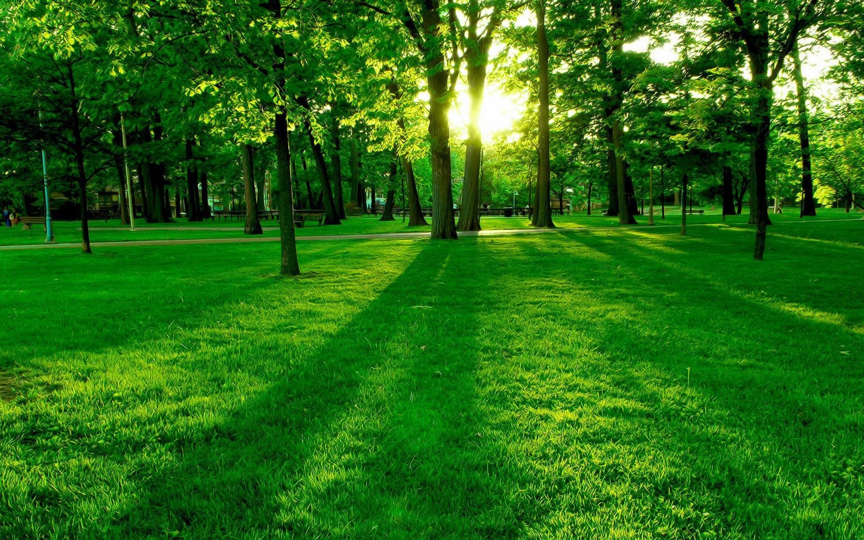 grass, landscape, trees, green download HD wallpaper